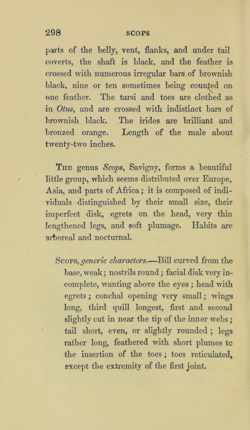 parts of the belly, vent, flanks, and under tail coverts, the shaft is black, and the feather is crossed with numerous irregular bars of brownish black, nine or ten sometimes being counted on one feather. The tarsi and toes are clothed as in Otu-s, and are crossed with indistinct bars of brownish black. The irides are brilliant and bronzed orange. Length of the male about twenty-two inches. The genus Scops, Savigny, forms a beautiful little group, which seems distributed over Europe, Asia, and parts of Africa; it is composed of indi- viduals distinguished by their small size, their imperfect disk, egrets on the head, very thin lengthened legs, and soft plumage. Habits are aihoreal and nocturnal. Scops, generic characters.—Bill curved from the base, weak; nostrils round; facial disk very in- complete, wanting above the eyes ; head with egrets; conchal opening very small; wings long, third quill longest, first and second slightly cut in near the tip of the inner webs ; tail short, even, or slightly rounded ; legs rather long, feathered with short plumes to the insertion of the toes; toes reticulated, except the extremity of the first joint.