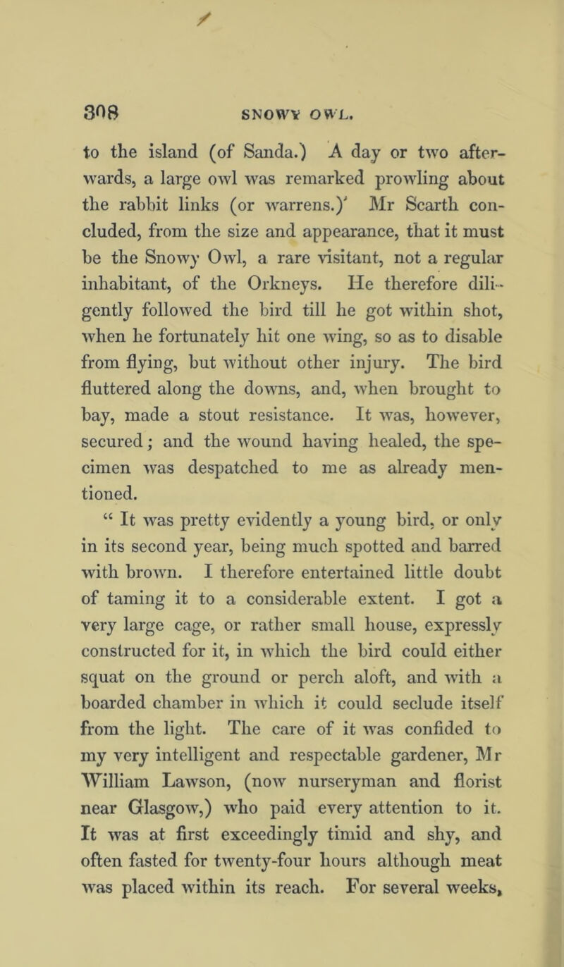 to the island (of Sanda.) A day or two after- wards, a large owl was remarked prowling about the rabbit links (or warrens.)' Mr Scarth con- cluded, from the size and appearance, that it must be the Snowy Owl, a rare visitant, not a regular inhabitant, of the Orkneys. He therefore dili - gently followed the bird till he got within shot, when he fortunately hit one wing, so as to disable from flying, but without other injury. The bird fluttered along the downs, and, when brought to bay, made a stout resistance. It was, however, secured; and the wound having healed, the spe- cimen was despatched to me as already men- tioned. “ It was pretty evidently a young bird, or only in its second year, being much spotted and barred with brown. I therefore entertained little doubt of taming it to a considerable extent. I got a very large cage, or rather small house, expressly constructed for it, in which the bird could either squat on the ground or perch aloft, and with a boarded chamber in which it could seclude itself from the light. The care of it was confided to my very intelligent and respectable gardener, M r William Lawson, (now nurseryman and florist near Glasgow,) who paid every attention to it. It was at first exceedingly timid and shy, and often fasted for twenty-four hours although meat was placed within its reach. For several weeks,