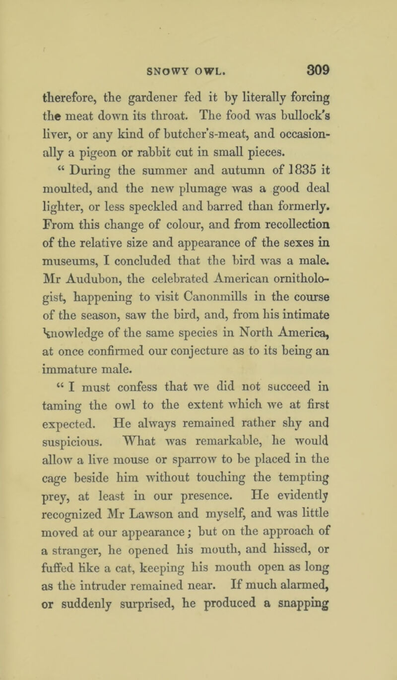 therefore, the gardener fed it by literally forcing the meat down its throat. The food was bullock’s liver, or any kind of butchcr’s-meat, and occasion- ally a pigeon or rabbit cut in small pieces. “ During the summer and autumn of 1835 it moulted, and the new plumage was a good deal lighter, or less speckled and barred than formerly. From this change of colour, and from recollection of the relative size and appearance of the sexes in museums, I concluded that the bird was a male. Mr Audubon, the celebrated American ornitholo- gist, happening to visit Canonmills in the course of the season, saw the bird, and, from his intimate knowledge of the same species in North America, at once confirmed our conjecture as to its being an immature male. “ I must confess that we did not succeed in taming the owl to the extent which we at first expected. He always remained rather shy and suspicious. What was remarkable, he would allow a live mouse or sparrow to be placed in the cage beside him without touching the tempting prey, at least in our presence. He evidently recognized Mr Lawson and myself, and was little moved at our appearance; but on the approach of a stranger, he opened his mouth, and hissed, or fuffed Hke a cat, keeping his mouth open as long as the intruder remained near. If much alarmed, or suddenly surprised, he produced a snapping