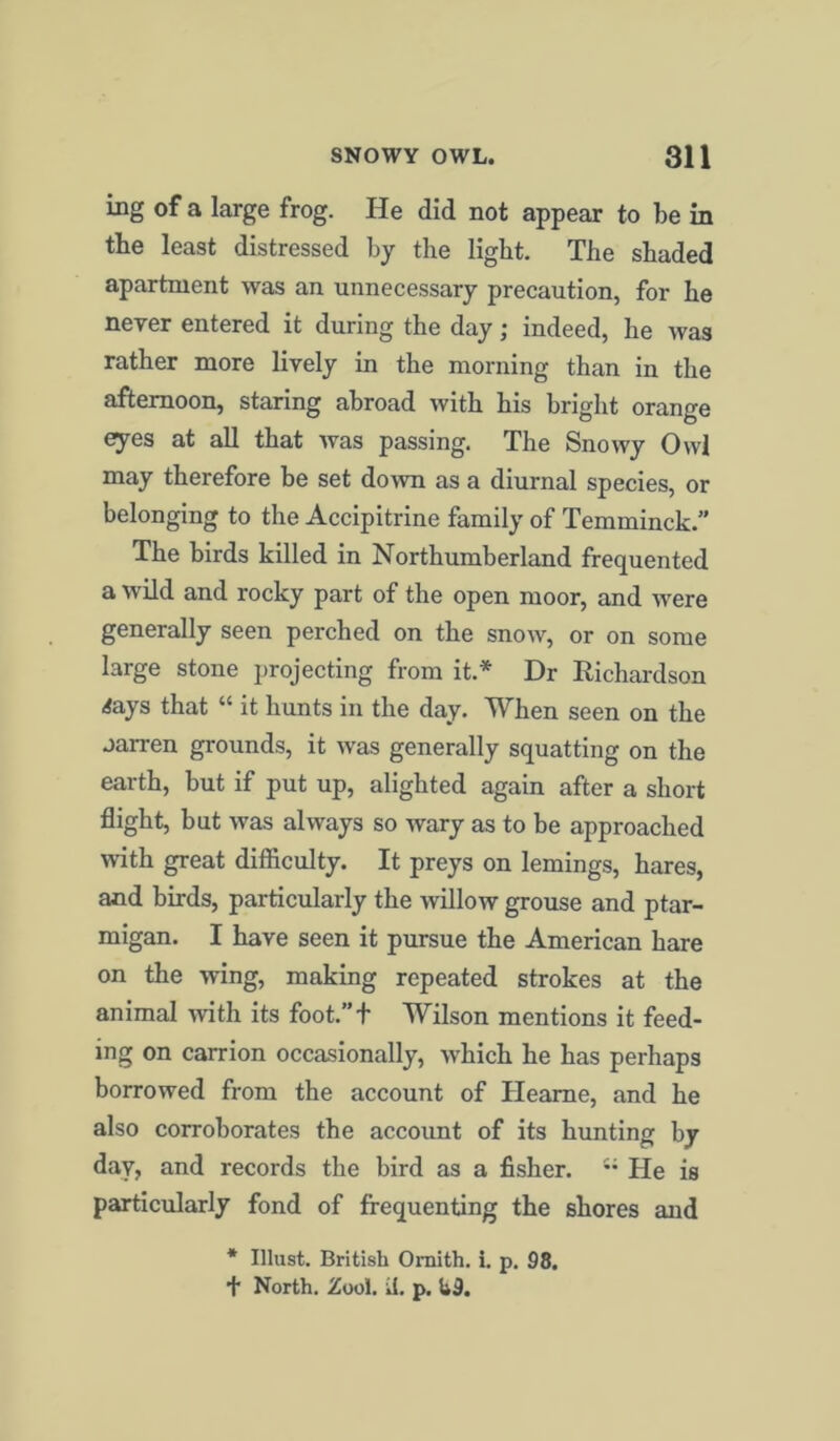 ing of a large frog. He did not appear to be in the least distressed by the light. The shaded apartment was an unnecessary precaution, for he never entered it during the day; indeed, he was rather more lively in the morning than in the afternoon, staring abroad with his bright orange eyes at all that was passing. The Snowy Owl may therefore be set down as a diurnal species, or belonging to the Accipitrine family of Temminck.” The birds killed in Northumberland frequented a wild and rocky part of the open moor, and were generally seen perched on the snow, or on some large stone projecting from it.* Dr Richardson 4ays that “ it hunts in the day. When seen on the aarren grounds, it was generally squatting on the earth, but if put up, alighted again after a short flight, but was always so wary as to be approached with great difficulty. It preys on lemings, hares, and birds, particularly the willow grouse and ptar- migan. I have seen it pursue the American hare on the wing, making repeated strokes at the animal with its foot.”+ Wilson mentions it feed- ing on carrion occasionally, which he has perhaps borrowed from the account of Heame, and he also corroborates the account of its hunting by day, and records the bird as a fisher.  He is particularly fond of frequenting the shores and * Illust. British Omith. i. p. 98. + North. Zool. if. p. U9.