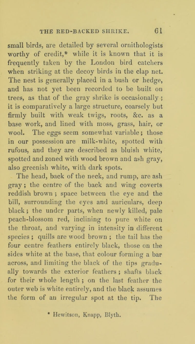 small birds, are detailed by several ornithologists worthy of credit,* while it is known that it is frequently taken by the London bird catchers when striking at the decoy birds in the clap net. The nest is generally placed in a bush or hedge, and has not yet been recorded to be built on trees, as that of the gray shrike is occasionally ; it is comparatively a large structure, coarsely but firmly built with weak twigs, roots, &c. as a base work, and lined with moss, grass, hair, or wool. The eggs seem somewhat variable ; those in our possession are milk-white, spotted with rufous, and they are described as bluish white, spotted and zoned with wood brown and ash gray, also greenish white, with dark spots. The head, back of the neck, and rump, are ash gray ; the centre of the back and wing coverts reddish brown ; space between the eye and the bill, surrounding the eyes and auriculars, deep black; the under parts, when newly killed, pale peach-blossom red, inclining to pure white on the throat, and varying in intensity in different species ; quills arc wood brown ; the tail has the four centre feathers entirely black, those on the sides white at the base, that colour forming a bar across, and limiting the black of the tips gradu- ally towards the exterior feathers ; shafts black for their whole length ; on the last feather the outer web is white entirely, and the black assumes the form of an irregular spot at the tip. The Hewitson, Knapp, Blytk.