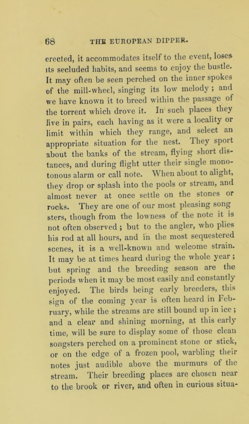 erected, it accommodates itself to the event, loses its secluded habits, and seems to enjoy the bustle. It may often be seen perched on the inner spokes of the mill-wheel, singing its low melody ; and we have known it to breed within the passage of the torrent which drove it. In such places they live in pairs, each having as it were a locality or limit within which they range, and select an appropriate situation for the nest. They sport about the banks of the stream, flying short dis- tances, and during flight utter their single mono- tonous alarm or call note. W hen about to alight, they drop or splash into the pools or stream, and almost never at once settle on the stones or rocks. They are one of our most pleasing song sters, though from the lowness of the note it is not often observed ; but to the angler, who plies his rod at all hours, and in the most sequestered scenes, it is a well-known and welcome strain. It may be at times heard during the whole year ; but spring and the breeding season are the periods when it may be most easily and constantly enjoyed. The birds being early breeders, this sign of the coming year is often heard in Feb- ruary, while the streams are still bound up in ice; and a clear and shining morning, at this early time, will be sure to display some of those clean songsters perched on a prominent stone or stick, or on the edge of a frozen pool, warbling their notes just audible above the murmurs of the stream. Their breeding places are chosen near to the brook or river, and often in curious situa-