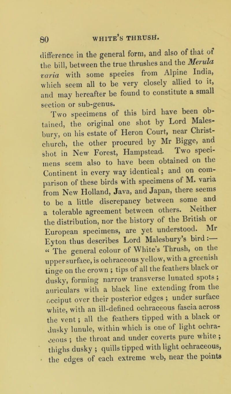 QO white’s thrush. difference in the general form, and also of that of the bill, between the true thrushes and the Merula varia with some species from Alpine India, which seem all to be very closely allied to it, and may hereafter be found to constitute a small section or sub-genus. Two specimens of this bird have been ob- tained, the original one shot by Lord Males- bury, on bis estate of Heron Court, near Christ- church, the other procured by Mr Bigge, and shot in New Forest, Hampstead. Two speci- mens seem also to have been obtained on the Continent in every way identical; and on com- parison of these birds with specimens of M. varia from New Holland, Java, and Japan, there seems to be a little discrepancy between some and a tolerable agreement between others. Neither the distribution, nor the history of the British or European specimens, are yet understood. Mr Eyton thus describes Lord Malesbury’s bird : « The general colour of Whites Thrush, on the uppersurface, is ochraceous yellow, with a greenish tinge on the crown ; tips of all the feathers black or dusky, forming narrow transverse lunated spots ; auriculars with a black line extending from the occiput over their posterior edges ; under surface white, with an ill-defined ochraceous fascia across the vent; all the feathers tipped with a black or dusky lunule, within which is one of light ochra- ceous ; the throat and under coverts pure white ; thighs dusky ; quills tipped with light ochraceous, the edges of each extreme web, near the points