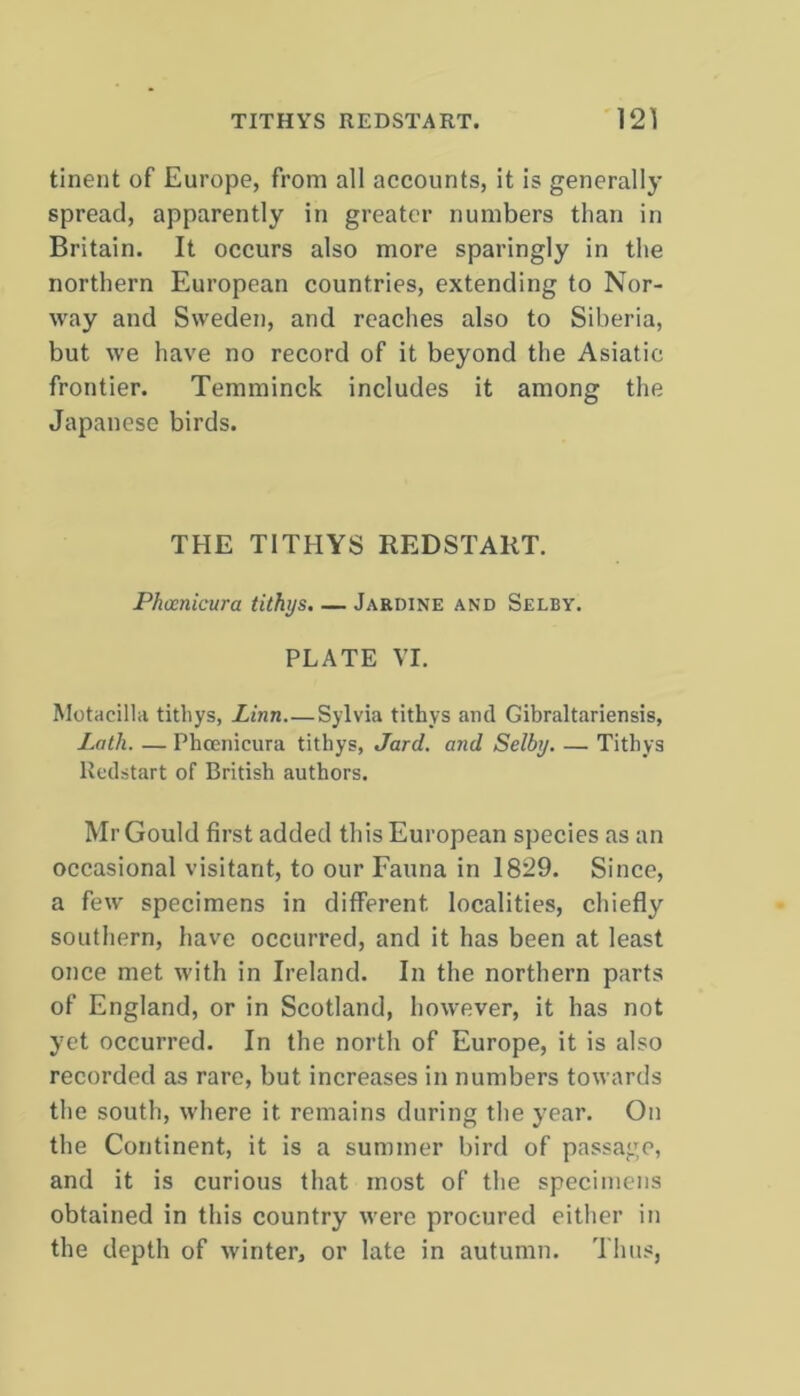 tinent of Europe, from all accounts, it is generally spread, apparently in greater numbers than in Britain. It occurs also more sparingly in the northern European countries, extending to Nor- way and Sweden, and reaches also to Siberia, but we have no record of it beyond the Asiatic frontier. Temminck includes it among the Japanese birds. THE TITHYS REDSTART. Phcenicura tithys. — Jardine and Selby. PLATE VI. Motacilhi tithys, Linn.—Sylvia tithys and Gibraltariensis, Lath. — Phcenicura tithys, Jard. and Selby. — Tithys Redstart of British authors. Mr Gould first added this European species as an occasional visitant, to our Fauna in 1829. Since, a few specimens in different, localities, chiefly southern, have occurred, and it has been at least once met with in Ireland. In the northern parts of England, or in Scotland, however, it has not yet occurred. In the north of Europe, it is also recorded as rare, but increases in numbers towards the south, where it remains during the year. On the Continent, it is a summer bird of passage, and it is curious that most of the specimens obtained in this country were procured either in the depth of winter, or late in autumn. Thus,