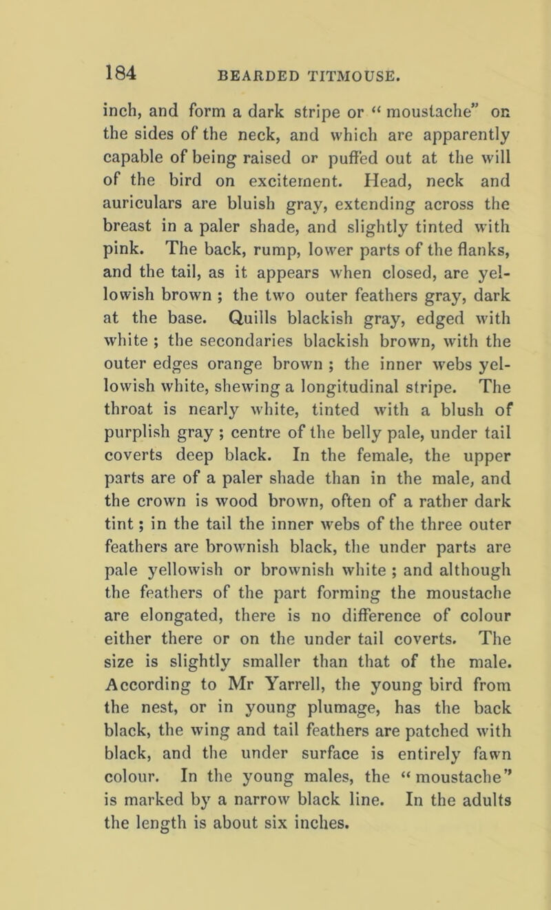 inch, and form a dark stripe or “ moustache” on the sides of the neck, and which are apparently capable of being raised or puffed out at the will of the bird on excitement. Head, neck and auriculars are bluish gray, extending across the breast in a paler shade, and slightly tinted with pink. The back, rump, lower parts of the flanks, and the tail, as it appears when closed, are yel- lowish brown ; the two outer feathers gray, dark at the base. Quills blackish gray, edged with white ; the secondaries blackish brown, with the outer edges orange brown ; the inner webs yel- lowish white, shewing a longitudinal stripe. The throat is nearly white, tinted with a blush of purplish gray ; centre of the belly pale, under tail coverts deep black. In the female, the upper parts are of a paler shade than in the male, and the crown is wood brown, often of a rather dark tint; in the tail the inner webs of the three outer feathers are brownish black, the under parts are pale yellowish or brownish white ; and although the feathers of the part forming the moustache are elongated, there is no difference of colour either there or on the under tail coverts. The size is slightly smaller than that of the male. According to Mr Yarrell, the young bird from the nest, or in young plumage, has the back black, the wing and tail feathers are patched with black, and the under surface is entirely fawn colour. In the young males, the “moustache” is marked by a narrow black line. In the adults the length is about six inches.