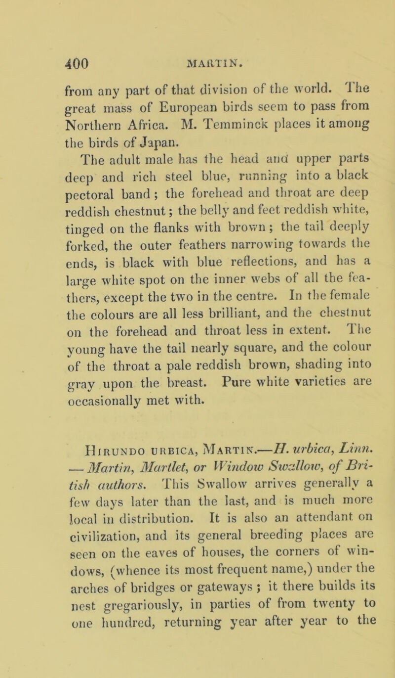 from any part of that division of the world. 1 he great mass of European birds seem to pass from Northern Africa. M. Temminck places it among the birds of Japan. The adult male has the head and upper parts deep and rich steel blue, running into a black pectoral band ; the forehead and throat are deep reddish chestnut; the belly and feet reddish white, tinged on the flanks with brown ; the tail deeply forked, the outer feathers narrowing towards the ends, is black with blue reflections, and has a large white spot on the inner webs of all the fea- thers, except the two in the centre. In the female the colours are all less brilliant, and the chestnut on the forehead and throat less in extent. The young have the tail nearly square, and the colour of the throat a pale reddish brown, shading into gray upon the breast. Pure white varieties are occasionally met with. Hirundo URBICA, Martin.—II. urbica, Linn. — Martin, Martlet, or Window Swallow, of Bri- tish authors. This Swallow arrives generally a few days later than the last, and is much more local in distribution. It is also an attendant on civilization, and its general breeding places are seen on the eaves of houses, the corners of win- dows, (whence its most frequent name,) under the arches of bridges or gateways ; it there builds its nest gregariously, in parties of from twenty to one hundred, returning year after year to the