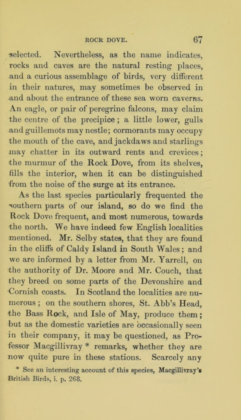 ■selected. Nevertheless, as the name indicates, rocks and caves are the natural resting places, and a curious assemblage of birds, very different in their natures, may sometimes be observed in u,nd about the entrance of these sea worn caverns. An eagle, or pair of peregrine falcons, may claim the centre of the precipice; a little lower, gulls and guillemots may nestle; cormorants may occupy the mouth of the cave, and jackdaws and starlings may chatter in its outward rents and crevices; the murmur of the Rock Dove, from its shelves, tills the interior, when it can be distinguished from the noise of the surge at its entrance. As the last species particularly frequented the southern parts of our island, so do we find the Rock Dov(i frequent, and most numerous, towards the north. We have indeed few English localities mentioned. Mr. Selby states, that they are found in the cliffs of Caldy Island in South Wales; and we are informed by a letter from Mr. Yarrell, on the authority of Dr. Moore and Mr. Couch, that they breed on some parts of the Devonshire and Cornish coasts. In Scotland the localities are nu- merous ; on the southern shores, St. Abb’s Head, the Bass Rock, and Isle of May, produce them; but as the domestic varieties are occasionally seen in their company, it may be questioned, as Pro- fessor Macgillivray * remarks, whether they are now quite pure in these stations. Scarcely any * See an interesting account of this species, Macgillivray’s ilritish Birds, i. p. 268.