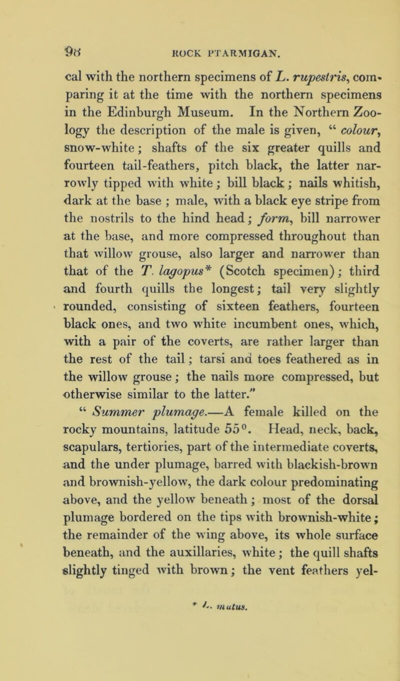 9ti cal with the northern specimens of L. rupestris, com* paring it at the time with the northern specimens in the Edinburgh Museum. In the Northern Zoo- logy the description of the male is given, “ colour^ snow-white; shafts of the six greater quills and fourteen tail-feathers, pitch black, the latter nar- rowly tipped with white; bill black; nails whitish, dark at the base ; male, with a black eye stripe from the nostrils to the hind head; form, bill narrow'er at the base, and more compressed throughout than that Avillow grouse, also larger and narrower than that of the T. lagopus* (Scotch specimen); third and fourth quills tbe longest; tail very slightly rounded, consisting of sixteen feathers, fourteen black ones, and two white incumbent ones, which, with a pair of the coverts, are rather larger than the rest of the tail; tarsi and toes feathered as in the willow grouse; the nails more compressed, but otherwise similar to the latter. “ Summer plumage.—A female killed on the rocky mountains, latitude 55Head, neck, back, scapulars, tertiories, part of the intermediate coverts, and the under plumage, barred with blackish-brown and brownish-yellow, the dark colour predominating above, and the yellow beneath; most of the dorsal plumage bordered on the tips with brownish-white; the remainder of the wing above, its whole surface beneath, and the auxiliaries, white ; the quill shafts slightly tinged Avith brown; the vent feathers yel- * A. uiutiis.