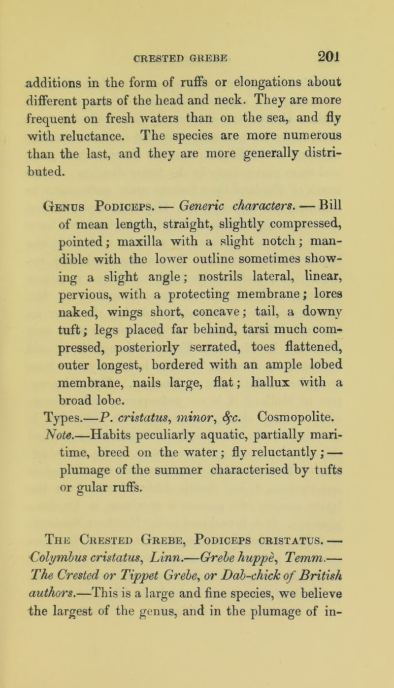 additions in the form of ruffs or elongations about different parts of the head and neck. They are more frequent on fresh -waters than on the sea, and fly with reluctance. The species are more numerous than the last, and they are more generally distri- buted. Genus Podiceps. — Generic characters. — Bill of mean length, straight, slightly compressed, pointed; maxilla with a slight notch; man- dible with the lower outline sometimes show- ing a slight angle; nostrils lateral, linear, pervious, with a protecting membrane; lores naked, wings short, concave; tail, a downy tuft; legs placed far behind, tarsi much com- pressed, posteriorly serrated, toes flattened, outer longest, bordered with an ample lobed membrane, nails large, flat; hallux with a broad lobe. Types.—P. cristatus, minor, fyc. Cosmopolite. Note.—Habits peculiarly aquatic, partially mari- time, breed on the water; fly reluctantly ; — plumage of the summer characterised by tufts or gular ruffs. The Crested Grebe, Podiceps cristatus.— Colymbus cristatus, Linn.—Grebe huppe, Temm.— The Crested or Tippet Grebe, or Dab-chick of British authors.—This is a large and fine species, we believe the largest of the genus, and in the plumage of in-