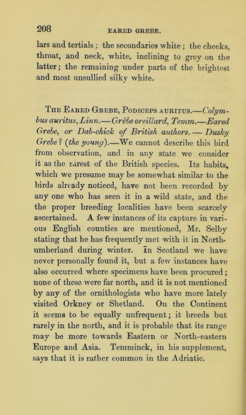 lars and tertials; the secondaries white; the cheeks, throat, and neck, white, inclining to grey on the latter; the remaining under parts of the brightest and most unsullied silky white. The Eared Grebe, Podiceps auritus.—Colym- bus auritus, Linn.— Grebe oreillard, Temm.—Eared Grebe, or Dab-chick of British authors. — Dusky Grebe ? {the young).—We cannot describe this bird from observation, and in any state we consider it as the rarest of the British species. Its habits, which we presume may be somewhat similar to the birds already notiecd, have not been recorded by any one who has seen it in a wild state, and the the proper breeding localities have been scarcely ascertained. A few instances of its capture in vari- ous English counties are mentioned, Mr. Selby stating that he has frequently met with it in North- umberland during winter. In Scotland we have never personally found it, but a few instances have also occurred where specimens have been procured ; none of these were far north, and it is not mentioned by any of the ornithologists who have more lately visited Orkney or Shetland. On the Continent it seems to be equally unfrequent; it breeds but rarely in the north, and it is probable that its range may be more towards Eastern or North-eastern Europe and Asia. Temminck, in his supplement, says that it is rather common in the Adriatic.