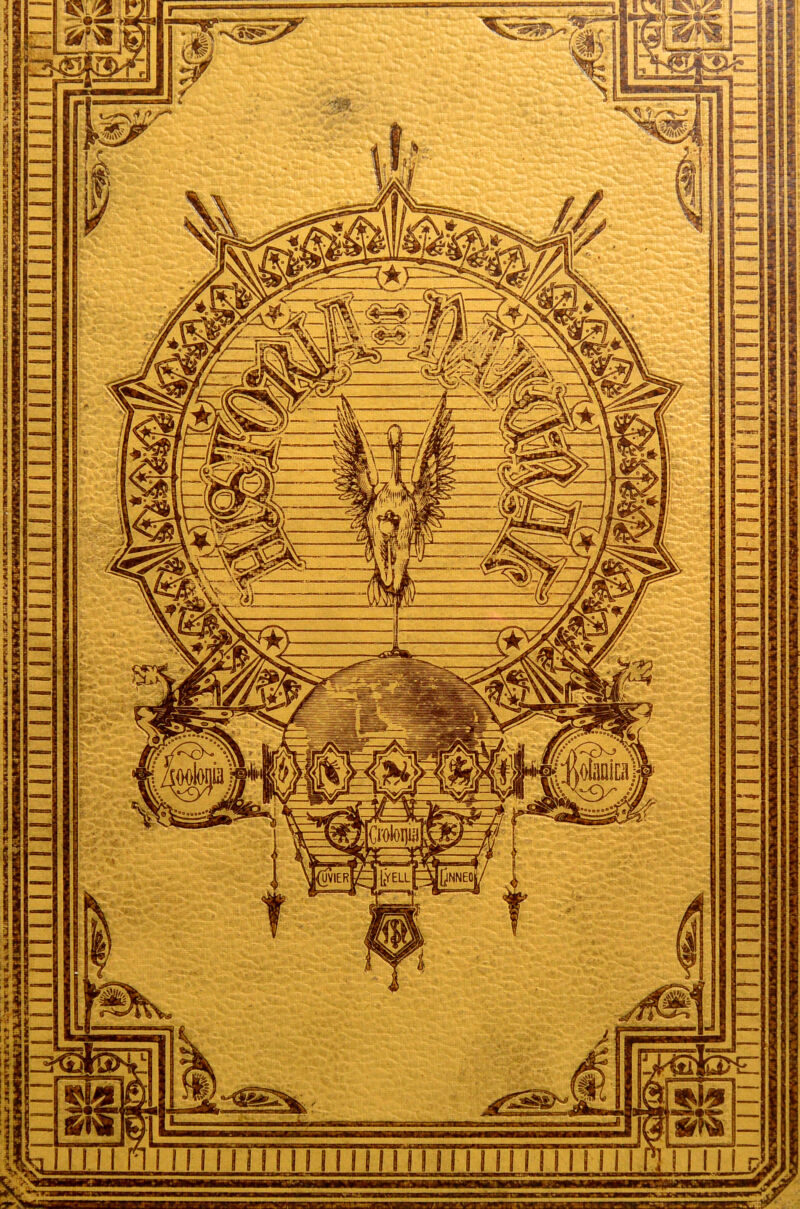 i \ 13#, w ■a V *s 13 — \ rf¡ . vi Mr - /Si III n iiiiiiiiiiiiiiiiiiiiiiiiiiiiiii 11 nuil