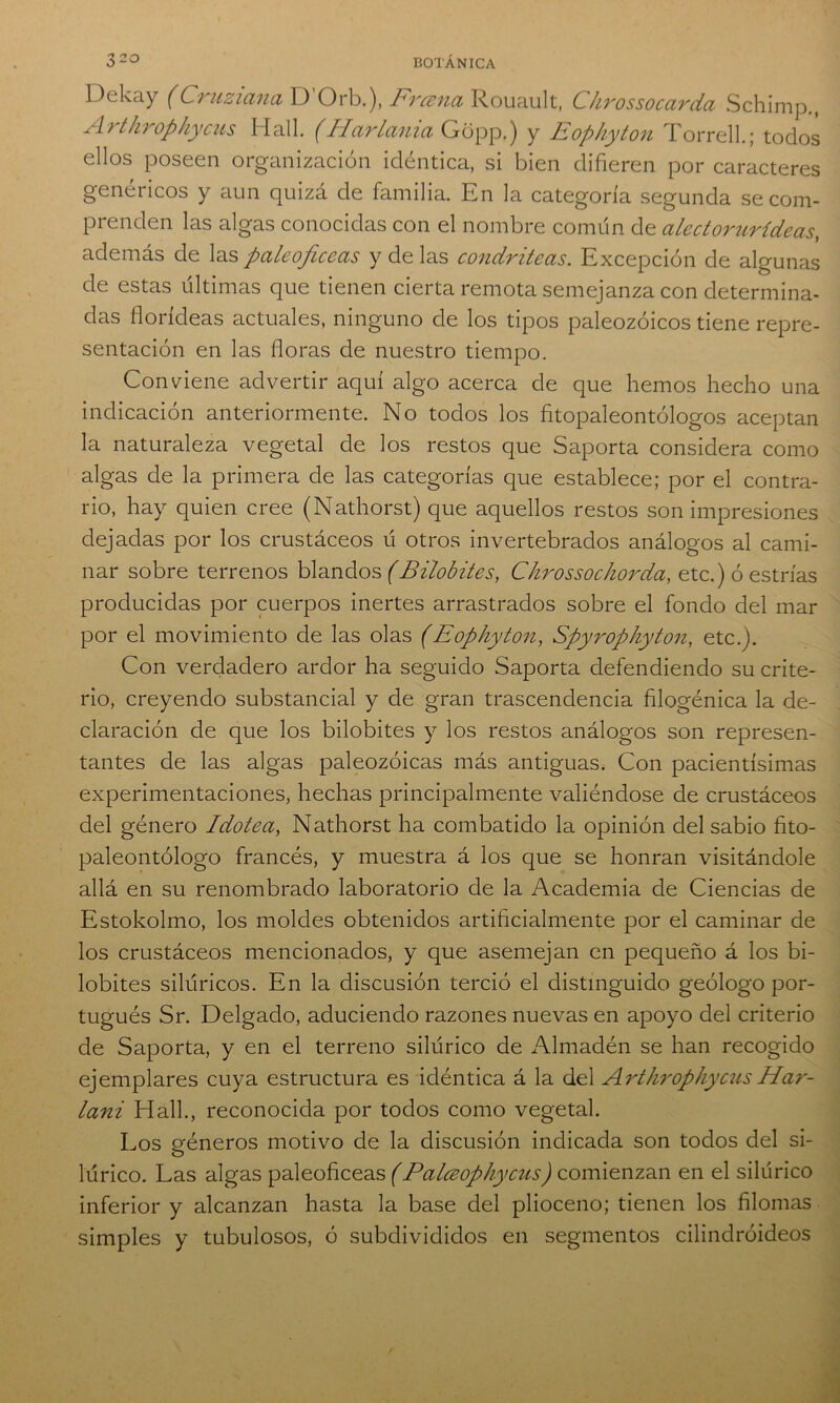 Dekay (Cruziana D’Orb.), Frcena Rouault, Chrossoccirda Schimp., Arthrophycus Hall. (Hcirlanict Gopp.) y Eophyton Torrell.; todos ellos poseen organización idéntica, si bien difieren por caracteres genéricos y aun quizá de familia. En la categoría segunda se com- prenden las algas conocidas con el nombre común de alectorurídeas, además de las pcileoficecis y de las condriteas. Excepción de algunas de estas últimas que tienen cierta remota semejanza con determina- das florídeas actuales, ninguno de los tipos paleozoicos tiene repre- sentación en las floras de nuestro tiempo. Conviene advertir aquí algo acerca de que hemos hecho una indicación anteriormente. No todos los fitopaleontólogos aceptan la naturaleza vegetal de los restos que Saporta considera como algas de la primera de las categorías que establece; por el contra- rio, hay quien cree (Nathorst) que aquellos restos son impresiones dejadas por los crustáceos ú otros invertebrados análogos al cami- nar sobre terrenos blandos (Büobites, Chrossochorda, etc.) ó estrías producidas por cuerpos inertes arrastrados sobre el fondo del mar por el movimiento de las olas (Eophyton, Spyrophyton, etc.). Con verdadero ardor ha seguido Saporta defendiendo su crite- rio, creyendo substancial y de gran trascendencia filogénica la de- claración de que los bilobites y los restos análogos son represen- tantes de las algas paleozoicas más antiguas. Con pacientísimas experimentaciones, hechas principalmente valiéndose de crustáceos del género Idotea, Nathorst ha combatido la opinión del sabio fito- paleontólogo francés, y muestra á los que se honran visitándole allá en su renombrado laboratorio de la Academia de Ciencias de Estokolmo, los moldes obtenidos artificialmente por el caminar de los crustáceos mencionados, y que asemejan en pequeño á los bi- lobites silúricos. En la discusión terció el distinguido geólogo por- tugués Sr. Delgado, aduciendo razones nuevas en apoyo del criterio de Saporta, y en el terreno silúrico de Almadén se han recogido ejemplares cuya estructura es idéntica á la del Arthrophycus Har- lani Hall., reconocida por todos como vegetal. Los géneros motivo de la discusión indicada son todos del si- lúrico. Las algas paleoficeas (Palceophycus) comienzan en el silúrico inferior y alcanzan hasta la base del plioceno; tienen los filomas simples y tubulosos, ó subdivididos en segmentos cilindróideos