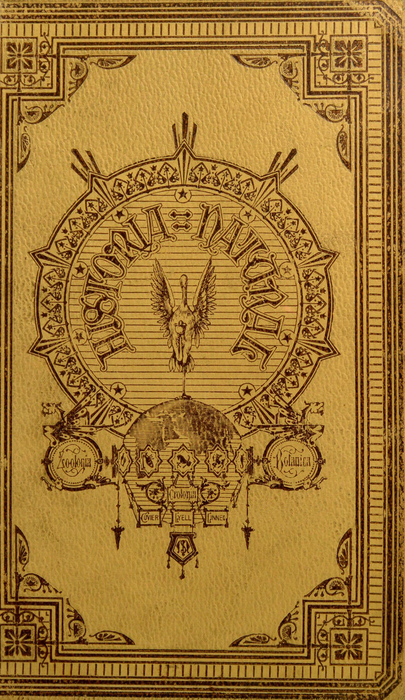 T 1 TWjJ —— ~ —-=^á