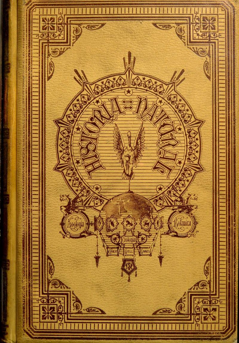 No text description is available for this image