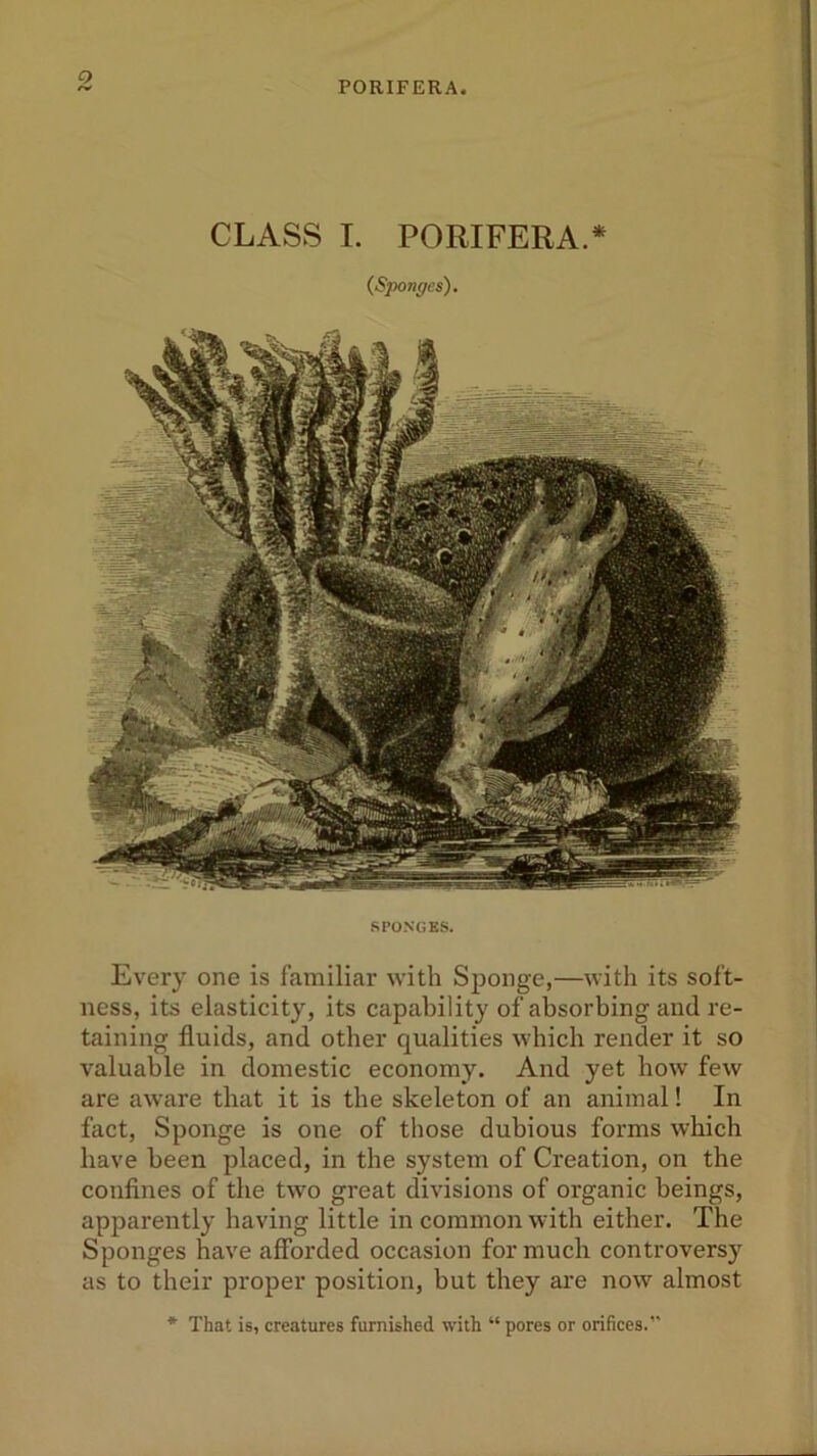 o PORIFERA. CLASS I. PORIFERA.* (Sponges), SPONGES. Every one is familiar with Sponge,—with its soft- ness, its elasticity, its capability of absorbing and re- taining fluids, and other qualities which render it so valuable in domestic economy. And yet how few are aware that it is the skeleton of an animal! In fact, Sponge is one of those dubious forms which have been placed, in the system of Creation, on the confines of the twro great divisions of organic beings, apparently having little in common with either. The Sponges have afforded occasion for much controversy as to their proper position, but they are now almost * That is, creatures furnished with “ pores or orifices.