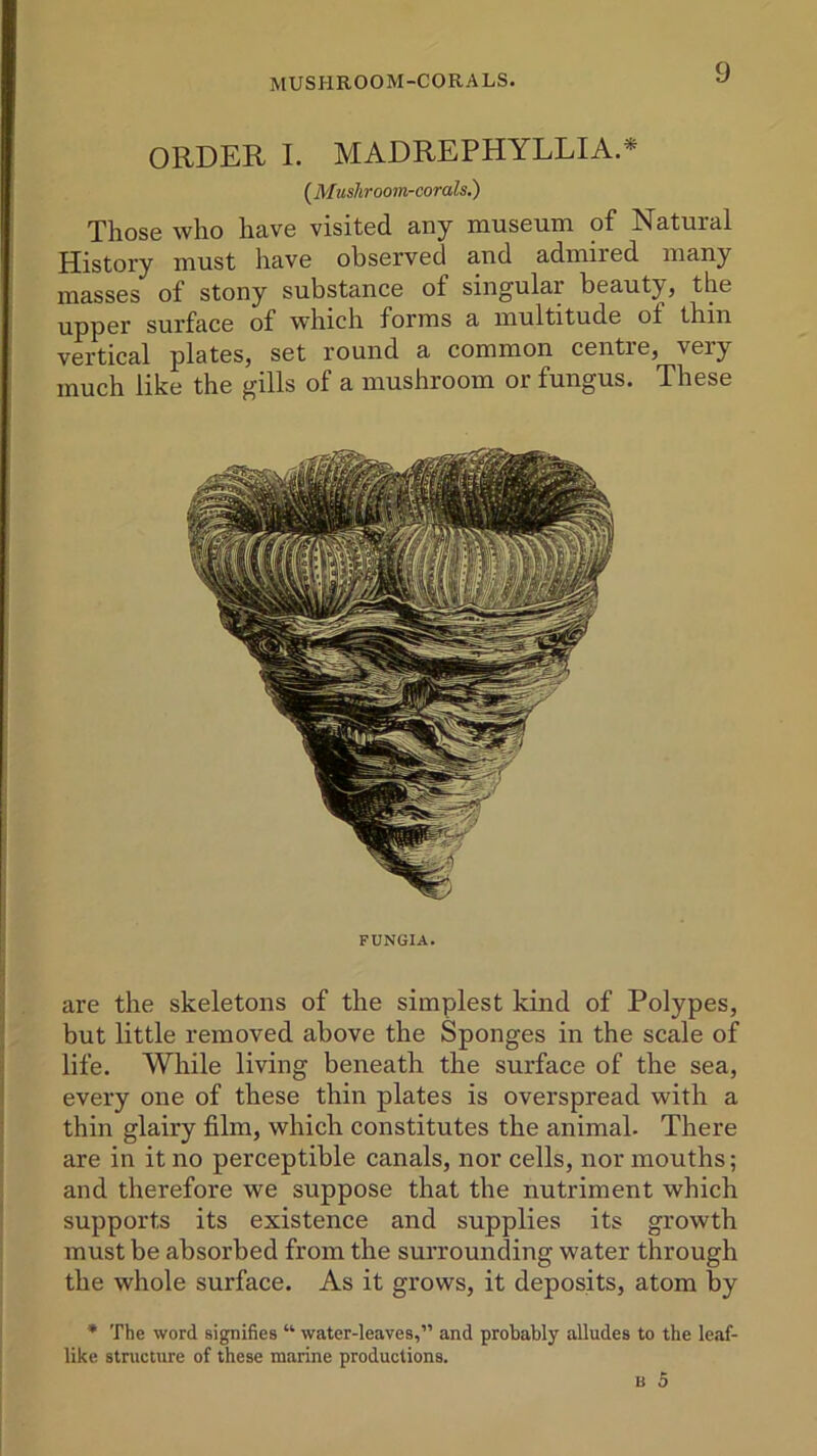 MUSHROOM-CORALS. ORDER I. MADREPHYLLIA.* ( Mushroom-corals.) Those who have visited any museum of Natural History must have observed and admired many masses of stony substance of singular beauty, the upper surface of which forms a multitude ol thin vertical plates, set round a common centre, very much like the gills of a mushroom or fungus. These FUNGIA. are the skeletons of the simplest kind of Polypes, but little removed above the Sponges in the scale of life. While living beneath the surface of the sea, every one of these thin plates is overspread with a thin glairy film, which constitutes the animal. There are in it no perceptible canals, nor cells, nor mouths; and therefore we suppose that the nutriment which supports its existence and supplies its growth must be absorbed from the surrounding water through the whole surface. As it grows, it deposits, atom by * The word signifies “ water-leaves,” and probably alludes to the leaf- like structure of these marine productions.