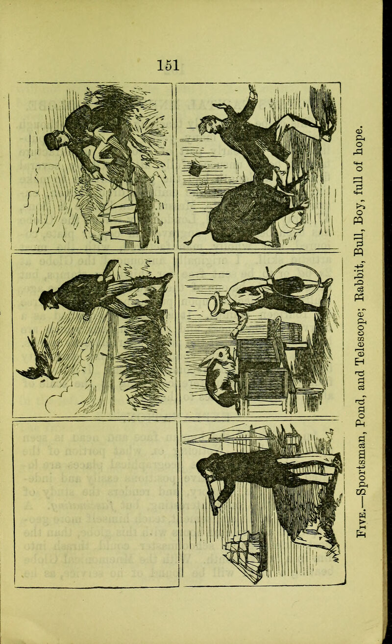 Five.—Sportsman, Pond, and Telescope; Eabbit, Bull, Boy, full of hope.