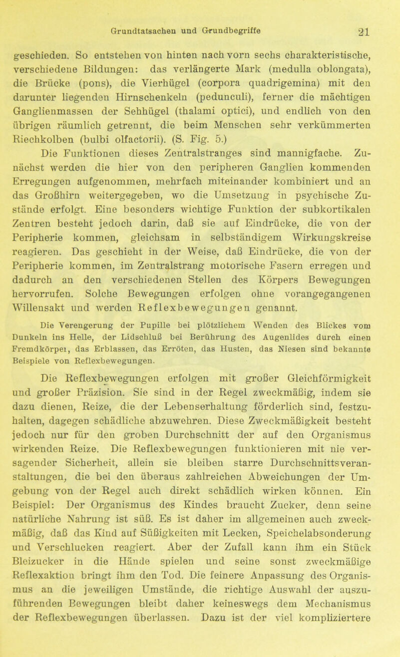 geschieden. So entstehen von hinten nach vorn sechs charakteristische, verschiedene Bildungen: das verlängerte Mark (medulla oblongata), die Brücke (pons), die Vierhügel (corpora quadrigemina) mit den darunter liegenden Hirnschenkeln (pedunculi), ferner die mächtigen Ganglienmassen der Sehhügel (thalami optici), und endlich von den übrigen räumlich getrennt, die beim Menschen sehr verkümmerten Riechkolben (bulbi olfactorii). (S. Fig. 5.) Die Funktionen dieses Zentralstranges sind mannigfache. Zu- nächst werden die hier von den peripheren Ganglien kommenden Erregungen aufgenommen, mehrfach miteinander kombiniert und an das Großhirn weitergegeben, wo die Umsetzung in psychische Zu- stände erfolgt. Eine besonders wichtige Funktion der subkortikalen Zentren besteht jedoch darin, daß sie auf Eindrücke, die von der Peripherie kommen, gleichsam in selbständigem Wirkungskreise reagieren. Das geschieht in der Weise, daß Eindrücke, die von der Peripherie kommen, im Zentralstrang motorische Fasern erregen und dadurch an den verschiedenen Stellen des Körpers Bewegungen hervorrufen. Solche Bewegungen erfolgen ohue vorangegangenen Willensakt und werden Reflexbewegungen genannt. Die Verengerung der Pupille bei plötzlichem Wenden des Blickes vom Dunkeln ins Helle, der Lidschluß bei Berührung des Augenlides durch einen Fremdkörpei, das Erblassen, das Erröten, das Husten, das Niesen sind bekannte Beispiele von Reflexbewegungen. Die Reflexbewegungen erfolgen mit großer Gleichförmigkeit und großer Präzision. Sie sind in der Regel zweckmäßig, indem sie dazu dienen, Reize, die der Lebenserhaltung förderlich sind, festzu- halten, dagegen schädliche abzuwehren. Diese Zweckmäßigkeit besteht jedoch nur für den groben Durchschnitt der auf den Organismus wirkenden Reize. Die Reflexbewegungen funktionieren mit nie ver- sagender Sicherheit, allein sie bleiben starre Durchschnittsveran- staltungen, die bei den überaus zahlreichen Abweichungen der Um- gebung von der Regel auch direkt schädlich wirken können. Ein Beispiel: Der Organismus des Kindes braucht Zucker, denn seine natürliche Nahrung ist süß. Es ist daher im allgemeinen auch zweck- mäßig, daß das Kind auf Süßigkeiten mit Lecken, Speichelabsonderung und Verschlucken reagiert. Aber der Zufall kann ihm ein Stück Bleizucker in die Hände spielen und seine sonst zweckmäßige Reflexaktiou bringt ihm den Tod. Die feinere Anpassung des Organis- mus an die jeweiligen Umstände, die richtige Auswahl der auszu- führenden Bewegungen bleibt daher keineswegs dem Mechanismus der Reflexbewegungen überlassen. Dazu ist der viel kompliziertere