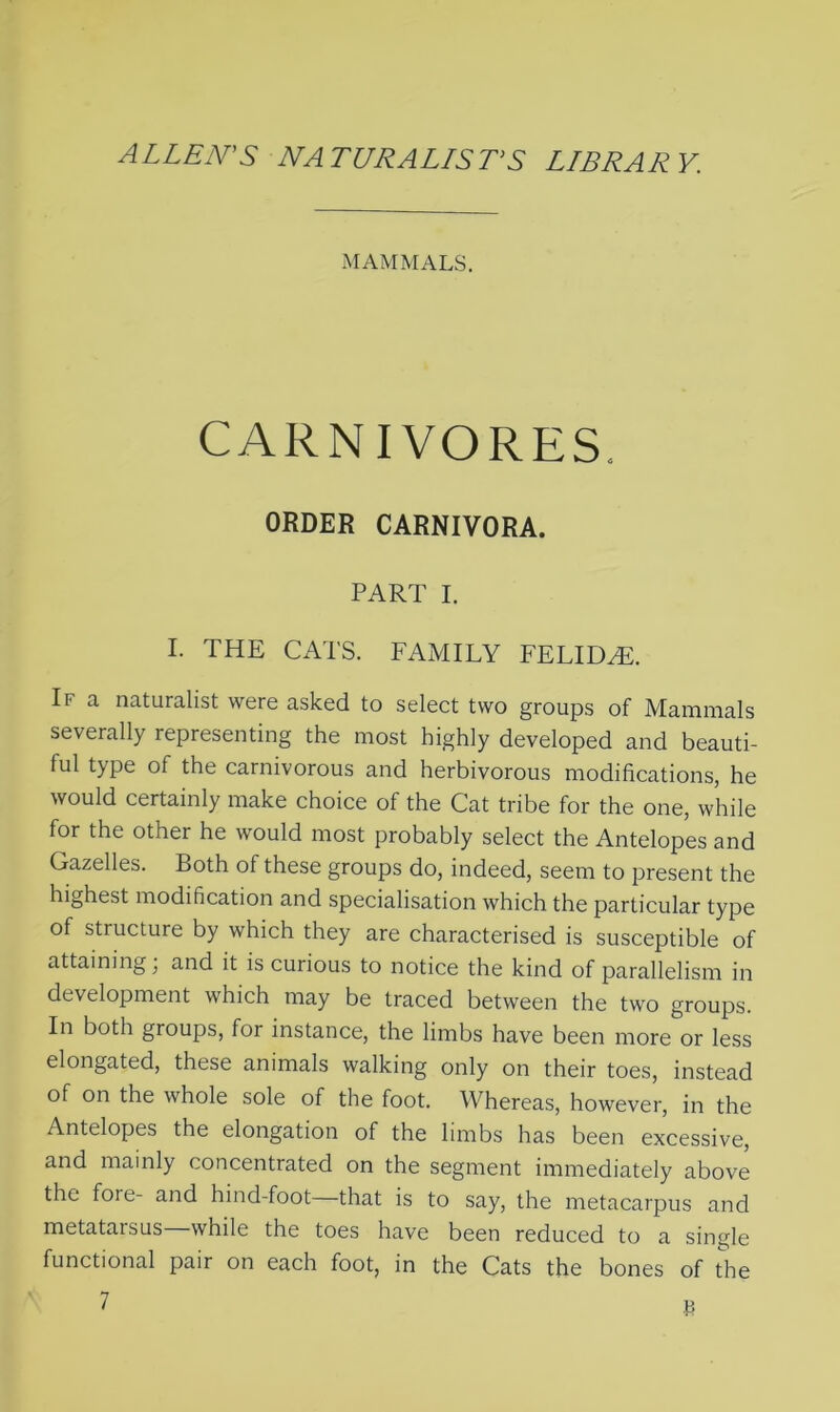 ALLEN'S NATURALISTS LIBRARY. MAMMALS. CARNIVORES. ORDER CARNIVORA. PART I. I. THE CATS. FAMILY FELIDAE. If a naturalist were asked to select two groups of Mammals severally representing the most highly developed and beauti- ful type of the carnivorous and herbivorous modifications, he would certainly make choice of the Cat tribe for the one, while for the other he would most probably select the Antelopes and Gazelles. Both of these groups do, indeed, seem to present the highest modification and specialisation which the particular type of structure by which they are characterised is susceptible of attaining • and it is curious to notice the kind of parallelism in development which may be traced between the two groups. In both groups, for instance, the limbs have been more or less elongated, these animals walking only on their toes, instead of on the whole sole of the foot. Whereas, however, in the Antelopes the elongation of the limbs has been excessive, and mainly concentrated on the segment immediately above the fore- and hind-foot that is to say, the metacarpus and metataisus while the toes have been reduced to a single functional pair on each foot, in the Cats the bones of the