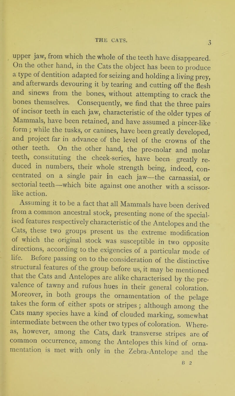 upper jaw, from which the whole of the teeth have disappeared. On the other hand, in the Cats the object has been to produce a type ot dentition adapted for seizing and holding a living prey, and afterwards devouring it by tearing and cutting off the flesh and sinews from the bones, without attempting to crack the bones themselves. Consequently, we find that the three pairs of incisor teeth in each jaw, characteristic of the older types of Mammals, ha\e been retained, and have assumed a pincer-like form, while the tusks, or canines, have been greatly developed, and project far in advance of the level of the crowns of the other teeth. On the other hand, the pre-molar and molar teeth, constituting the cheek-series, have been greatly re- duced in numbers, their whole strength being, indeed, con- centrated on a single pair in each jaw—the carnassial, or sectorial teeth—which bite against one another with a scissor- like action. Assuming it to be a fact that all Mammals have been derived from a common ancestral stock, presenting none of the special- ised features respectively characteristic of the Antelopes and the Cats, these two groups present us the extreme modification of which the original stock was susceptible in two opposite directions, according to the exigencies of a particular mode of life. Before passing on to the consideration of the distinctive structural features of the group before us, it may be mentioned that the Cats and Antelopes are alike characterised by the pre- valence of tawny and rufous hues in their general coloration. Moreover, in both groups the ornamentation of the pelage takes the form of either spots or stripes ; although among the Cats many species have a kind of clouded marking, somewhat intermediate between the other two types of coloration. Where- as, however, among the Cats, dark transverse stripes are of common occurrence, among the Antelopes this kind of orna- mentation is met with only in the Zebra-Antelope and the e 2