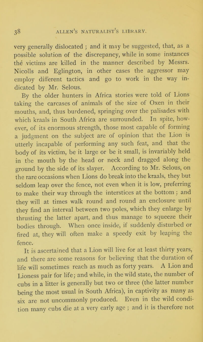 very generally dislocated ; and it may be suggested, that, as a possible solution of the discrepancy, while in some instances the victims are killed in the manner described by Messrs. Nicolls and Eglington, in other cases the aggressor may employ different tactics and go to work in the way in- dicated by Mr. Selous. By the older hunters in Africa stories were told of Lions taking the carcases of animals of the size of Oxen in their mouths, and, thus burdened, springing over the palisades with which kraals in South Africa are surrounded. In spite, how- ever, of its enormous strength, those most capable of forming a judgment on the subject are of opinion that the Lion is utterly incapable of performing any such feat, and that the body of its victim, be it large or be it small, is invariably held in the mouth by the head or neck and dragged along the ground by the side of its slayer. According to Mr. Selous, on the rare occasions when Lions do break into the kraals, they but seldom leap over the fence, not even when it is low, preferring to make their way through the interstices at the bottom : and they will at times walk round and round an enclosure until they find an interval between two poles, which they enlarge by thrusting the latter apart, and thus manage to squeeze their bodies through. When once inside, if suddenly disturbed or fired at, they will often make a speedy exit by leaping the fence. It is ascertained that a Lion will live for at least thirty years, and there are some reasons for believing that the duration of life will sometimes reach as much as forty years. A Lion and Lioness pair for life; and while, in the wild state, the number of cubs in a litter is generally but two or three (the latter number being the most usual in South Africa), in captivity as many as six are not uncommonly produced. Even in the wild condi- tion many cubs die at a very early age ; and it is therefore not