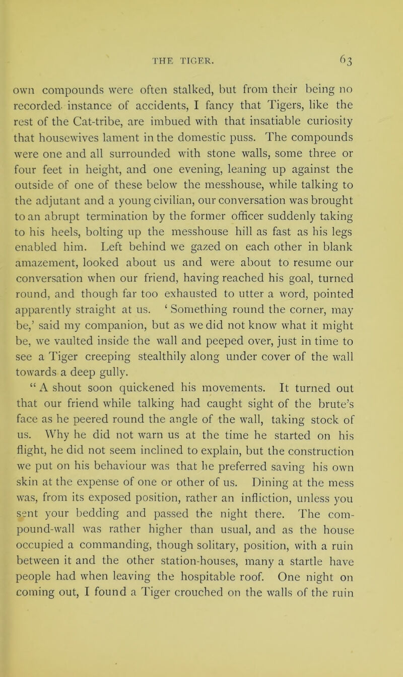 own compounds were often stalked, but from their being no recorded instance of accidents, I fancy that Tigers, like the rest of the Cat-tribe, are imbued with that insatiable curiosity that housewives lament in the domestic puss. The compounds were one and all surrounded with stone walls, some three or four feet in height, and one evening, leaning up against the outside of one of these below the messhouse, while talking to the adjutant and a young civilian, our conversation was brought to an abrupt termination by the former officer suddenly taking to his heels, bolting up the messhouse hill as fast as his legs enabled him. Left behind we gazed on each other in blank amazement, looked about us and were about to resume our conversation when our friend, having reached his goal, turned round, and though far too exhausted to utter a word, pointed apparently straight at us. £ Something round the corner, may be,’ said my companion, but as we did not know what it might be, we vaulted inside the wall and peeped over, just in time to see a Tiger creeping stealthily along under cover of the wall towards a deep gully. “ A shout soon quickened his movements. It turned out that our friend while talking had caught sight of the brute’s face as he peered round the angle of the wall, taking stock of us. Why he did not warn us at the time he started on his flight, he did not seem inclined to explain, but the construction we put on his behaviour was that he preferred saving his own skin at the expense of one or other of us. Dining at the mess was, from its exposed position, rather an infliction, unless you sent your bedding and passed the night there. The com- pound-wall was rather higher than usual, and as the house occupied a commanding, though solitary, position, with a ruin between it and the other station-houses, many a startle have people had when leaving the hospitable roof. One night on coming out, I found a Tiger crouched on the walls of the ruin