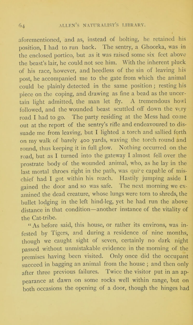 aforementioned, and as, instead of bolting, he retained his position, I had to run back. The sentry, a Ghoorka, was in the enclosed portico, but as it was raised some six feet above the beast’s lair, he could not see him. With the inherent pluck of his race, however, and heedless of the sin of leaving his post, he accompanied me to the gate from which the animal could be plainly detected in the same position; resting his piece on the coping, and drawing as fine a bead as the uncer- tain light admitted, the man let fly. A tremendous howl followed, and the wounded beast scuttled off down the va ry road I had to go. The party residing at the Mess had come out at the report of the sentry’s rifle and endeavoured to dis- suade me from leaving, but I lighted a torch and sallied forth on my walk of barely 400 yards, waving the torch round and round, thus keeping it in full glow. Nothing occurred on the road, but as I turned into the gateway I almost fell over the prostrate body of the wounded animal, who, as he lay in the last mortal throes right in the path, was qui'e capable of mis- chief had I got within his reach. Hastily jumping aside I o-ained the door and so was safe. The next morning we ex- amined the dead creature, whose lungs were torn to shreds, the bullet lodging in the left hind-leg, yet he had run the above distance in that condition—another instance of the vitality of the Cat-tribe. “ As before said, this house, or rather its environs, was in- fested by Tigers, and during a residence of nine months, though we caught sight of seven, certainly no dark night passed without unmistakable evidence in the morning of the premises having been visited. Only once did the occupant succeed in bagging an animal from the house ; and then only after three previous failures. Twice the visitor put in an ap- pearance at dawn on some rocks well within range, but on both occasions the opening of a door, though the hinges had