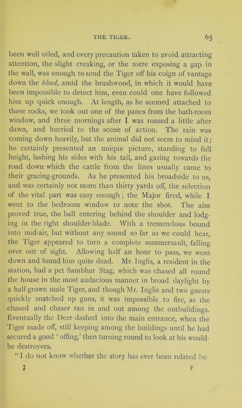 been well oiled, and every precaution taken to avoid attracting attention, the slight creaking, or the mere exposing a gap in the wall, was enough to send the Tiger off his coign of vantage down the khud, amid the brushwood, in which it would have been impossible to detect him, even could one have followed him up quick enough. At length, as he seemed attached to these rocks, we took out one of the panes from the bath-room window, and three mornings after I was roused a little after dawn, and hurried to the scene of action. The rain was coming down heavily, but the animal did not seem to mind it; he certainly presented an unique picture, standing to full height, lashing his sides with his tail, and gazing towards the road down which the cattle from the lines usually came to their grazing-grounds. As he presented his broadside to us, and was certainly not more than thirty yards off, the selection of the vital part was easy enough; the Major fired, while I went to the bedroom window to note the shot. The aim proved true, the ball entering behind the shoulder and lodg- ing in the right shoulder-blade. With a tremendous bound into mid-air, but without any sound so far as we could hear, the Tiger appeared to turn a complete summersault, falling over out of sight. Allowing half an hour to pass, we went down and found him quite dead. Mr. Inglis, a resident in the station, had a pet Sambhar Stag, which was chased all round the house in the most audacious manner in broad daylight by a half-grown male Tiger, and though Mr. Inglis and two guests quickly snatched up guns, it was impossible to fire, as the chased and chaser ran in and out among the outbuildings. Eventually the Deer dashed into the main entrance, when the Tiger made off, still keeping among the buildings until he had secured a good £ offing,’ then turning round to look at his would- be destroyers. “ I do not know whether the story has ever been related be- 7 F