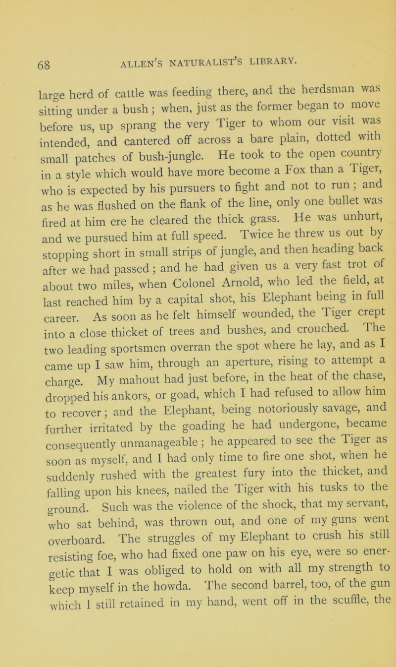 large herd of cattle was feeding there, and the herdsman was sitting under a bush; when, just as the former began to move before us, up sprang the very Tiger to whom our visit was intended, and cantered off across a bare plain, dotted with small patches of bush-jungle. He took to the open country in a style which would have more become a Fox than a 1 iger, who is expected by his pursuers to fight and not to run ; and as he was flushed on the flank of the line, only one bullet was fired at him ere he cleared the thick grass. He was unhurt, and we pursued him at full speed. Twice he threw us out by stopping short in small strips of jungle, and then heading back after we had passed; and he had given us a very fast trot of about two miles, when Colonel Arnold, who led the field, at last reached him by a capital shot, his Elephant being in full career. As soon as he felt himself wounded, the 1 iger crept into a close thicket of trees and bushes, and crouched. The two leading sportsmen overran the spot where he lay, and as I came up I saw him, through an aperture, rising to attempt a charge. My mahout had just before, in the heat of the chase, dropped his ankors, or goad, which I had refused to allow him to recover; and the Elephant, being notoriously savage, and further irritated by the goading he had undergone, became consequently unmanageable; he appeared to see the Tiger as soon as myself, and I had only time to fire one shot, when he suddenly rushed with the greatest fury into the thicket, and falling upon his knees, nailed the Tiger with his tusks to the ground. Such was the violence of the shock, that my servant, who sat behind, was thrown out, and one of my guns went overboard. The struggles of my Elephant to crush his still resisting foe, who had fixed one paw on his eye, were so ener- getic that I was obliged to hold on with all my strength to keep myself in the howda. The second barrel, too, of the gun which 1 still retained in my hand, went off in the scuffle, the