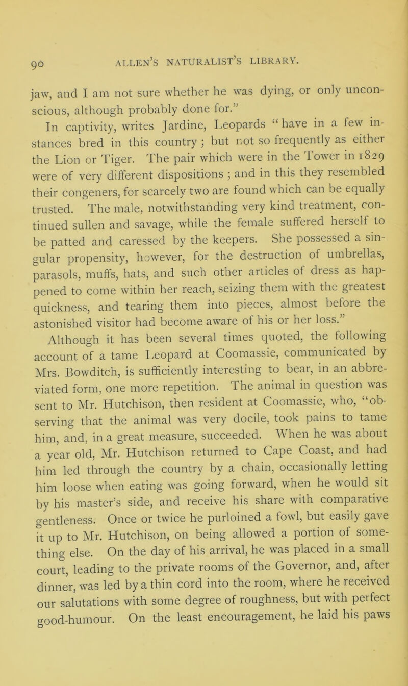 jaw, and I am not sure whether he was dying, or only uncon- scious, although probably done for.” In captivity, writes Jardine, Leopards “ have in a few in- stances bred in this country ) but not so frequently as either the Lion or Tiger. The pair which were in the Tower in 1829 were of very different dispositions ) and in this they resembled their congeners, for scarcely two are found which can be equally trusted. The male, notwithstanding very kind treatment, con- tinued sullen and savage, while the female suffered herself to be patted and caressed by the keepers. She possessed a sin- gular propensity, however, for the destruction of umbrellas, parasols, muffs, hats, and such other articles of dress as hap- pened to come within her reach, seizing them with the greatest quickness, and tearing them into pieces, almost before the astonished visitor had become aware of his or her loss.” Although it has been several times quoted, the following account of a tame Leopard at Coomassie, communicated by Mrs. Bowditch, is sufficiently interesting to bear, in an abbre- viated form, one more repetition. The animal in question was sent to Mr. Hutchison, then resident at Coomassie, who, “ob- serving that the animal was very docile, took pains to tame him, and, in a great measure, succeeded. When he was about a year old, Mr. Hutchison returned to Cape Coast, and had him led through the country by a chain, occasionally letting him loose when eating was going forward, when he would sit by his master’s side, and receive his share with comparative gentleness. Once or twice he purloined a fowl, but easily gave it up to Mr. Hutchison, on being allowed a portion of some- thing else. On the day of his arrival, he was placed in a small court, leading to the private rooms of the Governor, and, after dinner, was led by a thin cord into the room, where he received our salutations with some degree of roughness, but with perfect good-humour. On the least encouragement, he laid his paws