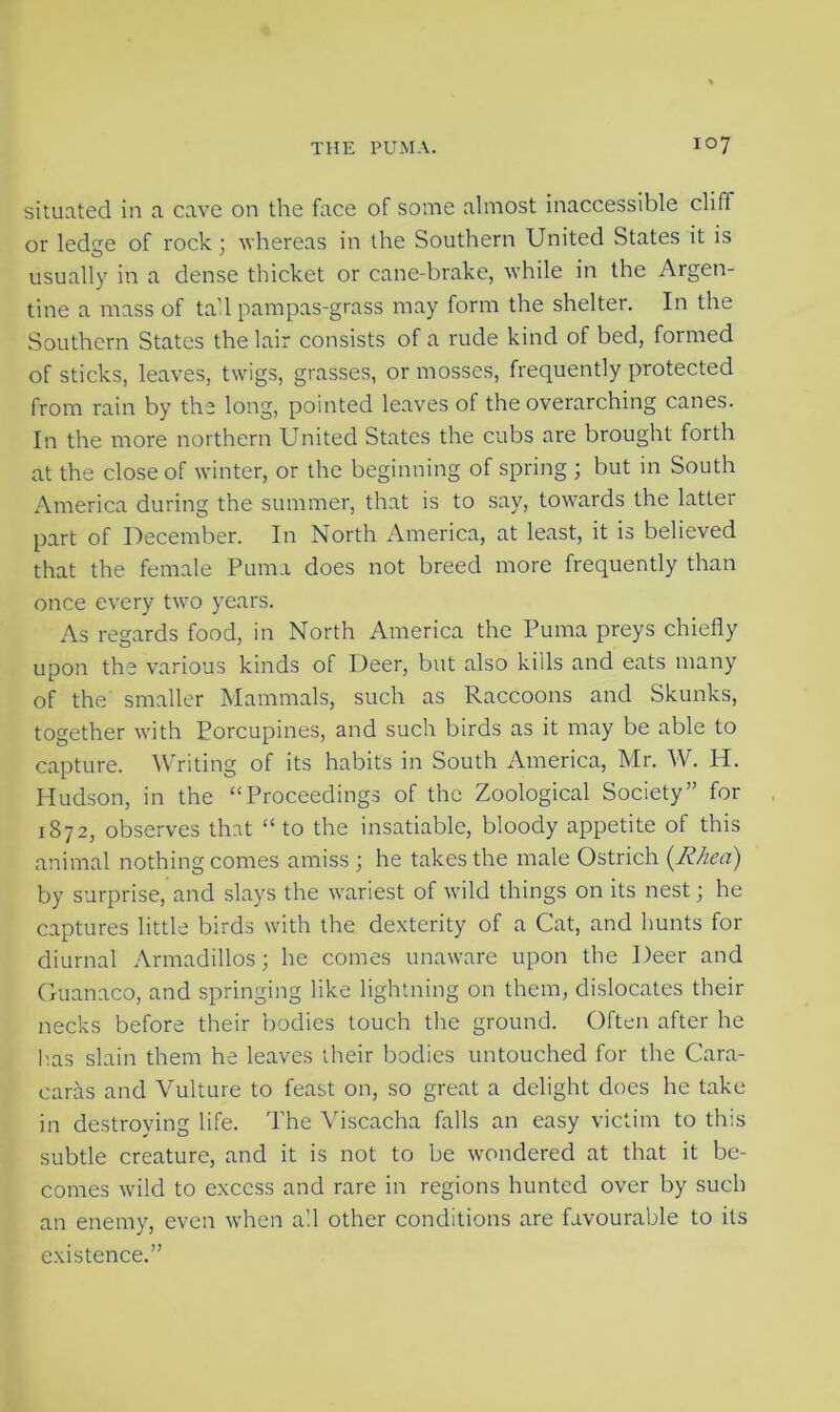 situated in a cave on the face of some almost inaccessible cliff or ledge of rock; whereas in the Southern United States it is usually in a dense thicket or cane-brake, while in the Argen- tine a mass of tall pampas-grass may form the shelter. In the Southern States the lair consists of a rude kind of bed, formed of sticks, leaves, twigs, grasses, or mosses, frequently protected from rain by the long, pointed leaves of the overarching canes. In the more northern United States the cubs are brought forth at the close of winter, or the beginning of spring ; but in South America during the summer, that is to say, towards the latter part of December. In North America, at least, it is believed that the female Puma does not breed more frequently than once every two years. As regards food, in North America the Puma preys chiefly upon the various kinds of Deer, but also kills and eats many of the smaller Mammals, such as Raccoons and Skunks, together with Porcupines, and such birds as it may be able to capture. Writing of its habits in South America, Mr. W. H. Hudson, in the “Proceedings of the Zoological Society” for 1872, observes that “ to the insatiable, bloody appetite of this animal nothing comes amiss ; he takes the male Ostrich {Rhea) by surprise, and slays the wariest of wild things on its nest; he captures little birds with the dexterity of a Cat, and hunts for diurnal Armadillos ; he comes unaware upon the Deer and Guanaco, and springing like lightning on them, dislocates their necks before their bodies touch the ground. Often after he has slain them he leaves their bodies untouched for the Cara- earas and Vulture to feast on, so great a delight does he take in destroying life. The Viscacha falls an easy victim to this subtle creature, and it is not to be wondered at that it be- comes wild to excess and rare in regions hunted over by such an enemy, even when all other conditions are favourable to its existence.”