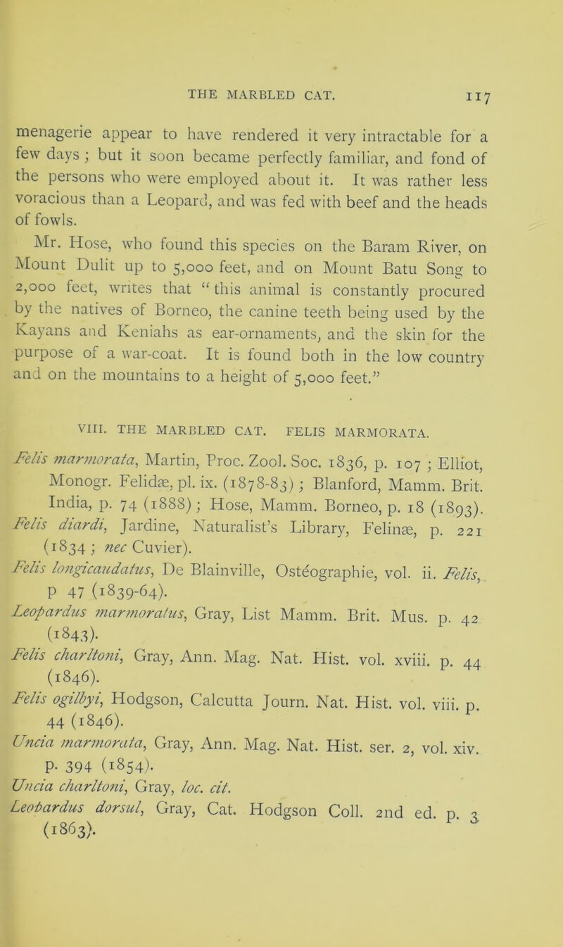 THE MARBLED CAT. menagerie appear to have rendered it very intractable for a few days ; but it soon became perfectly familiar, and fond of the persons who were employed about it. It was rather less voracious than a Leopard, and was fed with beef and the heads of fowls. Mr. Hose, who found this species on the Baram River, on Mount Dulit up to 5,000 feet, and on Mount Batu Song to 2,000 feet, writes that “ this animal is constantly procured by the natives of Borneo, the canine teeth being used by the Kayans and Keniahs as ear-ornaments, and the skin for the puipose of a war-coat. It is found both in the low country and on the mountains to a height of 5,000 feet.” VIII. THE MARBLED CAT. FELIS MARMORATA. Felis marmorata, Martin, Proc. Zool. Soc. 1836, p. 107 ; Elliot, Monogr. Felidae, pi. ix. (1878-83); Blanford, Mamm. Brit. India, p. 74 (1888) ; Hose, Mamm. Borneo, p. 18 (1893). Felis diardi, Jardine, Naturalist’s Library, Felinae, p. 221 (1834; nec Cuvier). Felis longicaudatus, De Blainville, Osteographie, vol. ii. Felis, P 47 (1839-64). Leopardus mcirmoratus, Gray, List Mamm. Brit. Mus. p. 42 (1843)- Felis char Itom, Gray, Ann. Mag. Nat. Hist. vol. xviii p 44 (1846). Felis ogilhyi, Hodgson, Calcutta Journ. Nat. Hist. vol. viii. p. 44 (1846). Unci a marmorata, Gray, Ann. Mag. Nat. Hist. ser. 2, vol. xiv. P- 394 (1854). Uncia charltoni, Gray, loc. cit. Leobardus dorsul, Gray, Cat. Hodgson Coll. 2nd ed p 2 (1863). ' F' ^