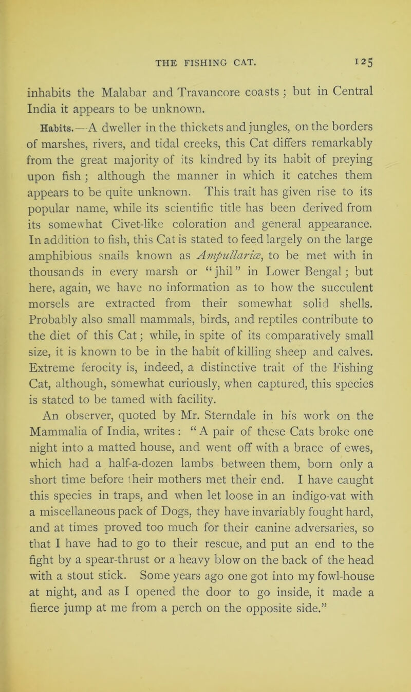 inhabits the Malabar and Travancore coasts ; but in Central India it appears to be unknown. Habits.—A dweller in the thickets and jungles, on the borders of marshes, rivers, and tidal creeks, this Cat differs remarkably from the great majority of its kindred by its habit of preying upon fish ; although the manner in which it catches them appears to be quite unknown. This trait has given rise to its popular name, while its scientific title has been derived from its somewhat Civet-like coloration and general appearance. In addition to fish, this Cat is stated to feed largely on the large amphibious snails known as Ampullarice, to be met with in thousands in every marsh or “jhil” in Lower Bengal; but here, again, we have no information as to how the succulent morsels are extracted from their somewhat solid shells. Probably also small mammals, birds, and reptiles contribute to the diet of this Cat; while, in spite of its comparatively small size, it is known to be in the habit of killing sheep and calves. Extreme ferocity is, indeed, a distinctive trait of the Fishing Cat, although, somewhat curiously, when captured, this species is stated to be tamed with facility. An observer, quoted by Mr. Sterndale in his work on the Mammalia of India, writes : “ A pair of these Cats broke one night into a matted house, and went off with a brace of ewes, which had a half-a-dozen lambs between them, born only a short time before their mothers met their end. I have caught this species in traps, and when let loose in an indigo-vat with a miscellaneous pack of Dogs, they have invariably fought hard, and at times proved too much for their canine adversaries, so that I have had to go to their rescue, and put an end to the fight by a spear-thrust or a heavy blow on the back of the head with a stout stick. Some years ago one got into my fowl-house at night, and as I opened the door to go inside, it made a fierce jump at me from a perch on the opposite side.”