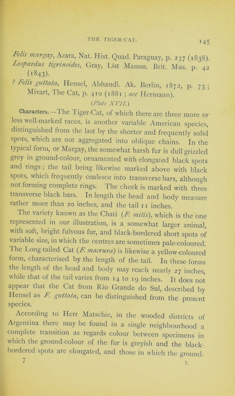 MS Fdh mar gay, Azara, Nat. Hist. Quad. Paraguay, p. 237 (1S38). Leopardus tignnoides, Gray, List Mamm. Brit. Mus. n. 42 (i843)- 1 Felis guttata, Hensel, Abhandl. Ak. Berlin, 1872, p. 73 ; Mivait, I he Cat, p. 410 (1881 ; nee Hermann). [Plate XVII.) Characters.—The Tiger-Cat, of which there are three more or less well-marked races, is another variable American species, distinguished from the last by the shorter and frequently solid spots, which are not aggregated into oblique chains. In the typical form, or Margay, the somewhat harsh fur is dull grizzled grey in ground-colour, ornamented with elongated black spots and rings ; the tail being likewise marked above with black spots, which frequently coalesce into transverse bars, although not forming complete rings. The cheek is marked with three transverse black bars. In length the head and body measure rather more than 20 inches, and the tail 11 inches. I he variety known as the Chati (F mitis), which is the one represented in our illustration, is a somewhat larger animal, with soft, bright fulvous fur, and black-bordered short spots of variable size, in which the centres are sometimes pale-coloured. The Long-tailed Cat (F. macrura) is likewise a yellow-coloured form, characterised by the length of the tail. In these forms the length of the head and body may reach nearly 27 inches, while that of the tail varies from 14 to 19 inches. It does not appear that the Cat from Rio Grande do Sul, described by Hensel as F guttata, can be distinguished from the present species. According to Herr Matschie, in the wooded districts of Argentina there may be found in a single neighbourhood a complete transition as regards colour between specimens in which the ground-colour of the fur is greyish and the black- bordered spots are elongated, and those in which the ground-