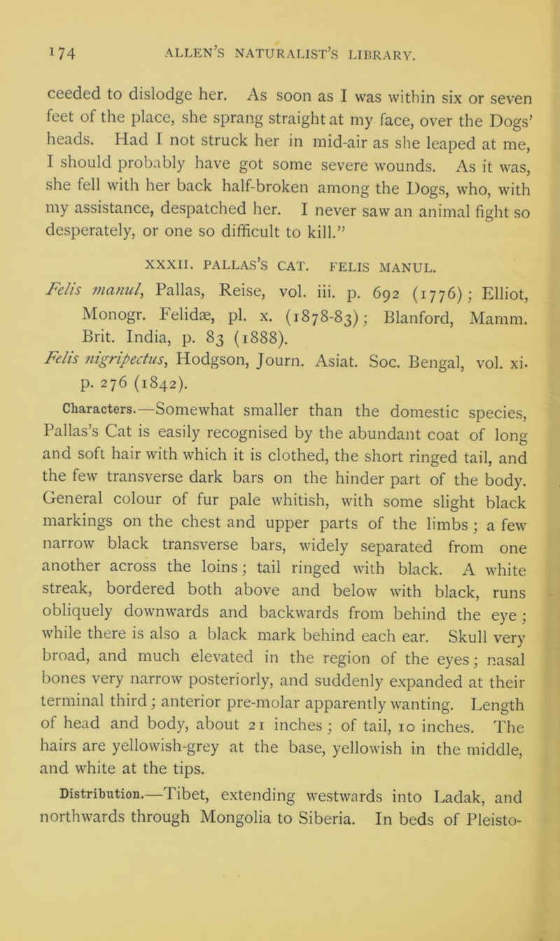 ceeded to dislodge her. As soon as I was within six or seven feet of the place, she sprang straight at my face, over the Dogs’ heads. Had I not struck her in mid-air as she leaped at me, I should probably have got some severe wounds. As it was, she fell with her back half-broken among the Dogs, who, with my assistance, despatched her. I never saw an animal fight so desperately, or one so difficult to kill.” xxxii. pallas’s cat. felis manul. Felis manul, Pallas, Reise, vol. iii. p. 692 (1776); Elliot, Monogr. Felidae, pi. x. (1878-83); Blanford, Mamm. Brit. India, p. 83 (1888). Felis nigripectus, Hodgson, Journ. Asiat. Soc. Bengal, vol. xi. p. 276 (1842). Characters.—Somewhat smaller than the domestic species, Pallas’s Cat is easily recognised by the abundant coat of long and soft hair with which it is clothed, the short ringed tail, and the few transverse dark bars on the hinder part of the body. General colour of fur pale whitish, with some slight black markings on the chest and upper parts of the limbs ; a few narrow black transverse bars, widely separated from one another across the loins; tail ringed with black. A white streak, bordered both above and below with black, runs obliquely downwards and backwards from behind the eye ; while there is also a black mark behind each ear. Skull very broad, and much elevated in the region of the eyes; nasal bones very narrow posteriorly, and suddenly expanded at their terminal third; anterior pre-molar apparently wanting. Length of head and body, about 21 inches ; of tail, 10 inches. The hairs are yellowish-grey at the base, yellowish in the middle, and white at the tips. Distribution.—'Tibet, extending westwards into Ladak, and northwards through Mongolia to Siberia. In beds of Pleisto-