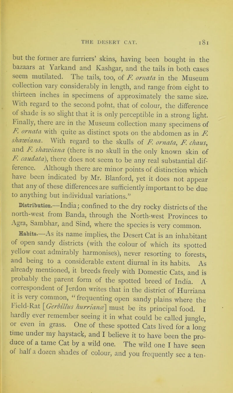but the former are furriers’ skins, having been bought in the bazaars at \arkand and Kashgar, and the tails in both cases seem mutilated. 1 he tails, too, of F. ornata in the Museum collection vary considerably in length, and range from eight to thirteen inches in specimens of approximately the same size. ^ ith regard to the second point, that of colour, the difference of shade is so slight that it is only perceptible in a strong light, finally, there are in the Museum collection many specimens of F ornata with quite as distinct spots on the abdomen as in F shawiana. \\ ith regard to the skulls of F. ornata, F. chaus, and F. shawiana (there is no skull in the only known skin of F. caudata), there does not seem to be any real substantial dif- ference. Although there are minor points of distinction which have been indicated by Mr. Blanford, yet it does not appear that any of these differences are sufficiently important to be due to anything but individual variations.” Distribution. India \ confined to the dry rocky districts of the north-west from Banda, through the North-west Provinces to Sambhar, and Sind, where the species is very common. Habits. As its name implies, the Desert Cat is an inhabitant of open sandy districts (with the colour of which its spotted yellow coat admirably harmonises), never resorting to forests, and being to a considerable extent diurnal in its habits. As already mentioned, it breeds freely with Domestic Cats, and is probably the parent form of the spotted breed of India. A correspondent of Jerdon writes that in the district of Hurriana it is very common, “frequenting open sandy plains where the Field-Rat [Gerbillus hurnance\ must be its principal food. I hardly ever remember seeing it in what could be called jungle, oi even in grass. One of these spotted Cats lived for a long time undei my haystack, and I believe it to have been the pro- duce of a tame Cat by a wild one. The wild one I have seen of half a dozen shades of colour, and you frequently see a ten-