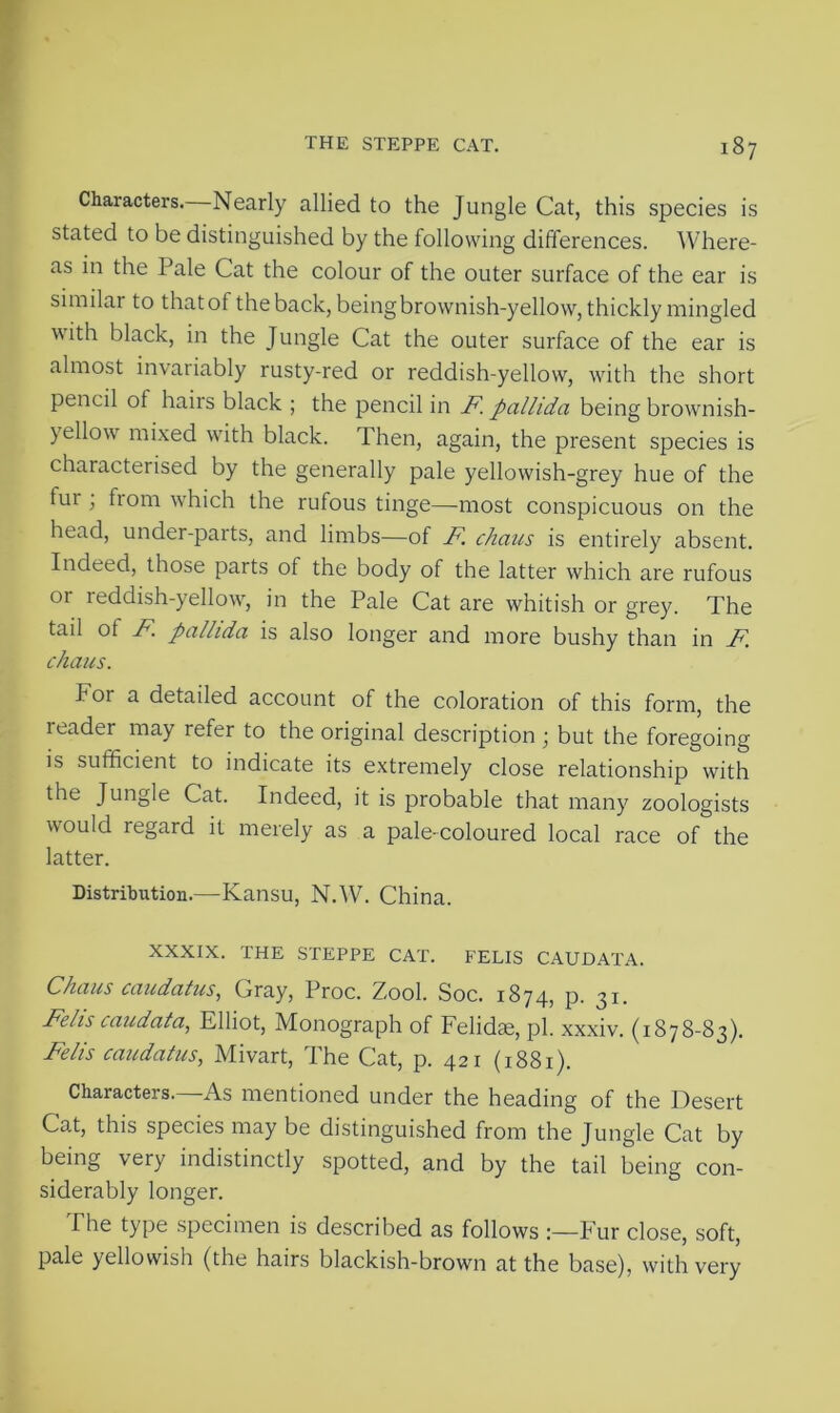 Characters. Nearly allied to the Jungle Cat, this species is stated to be distinguished by the following differences. Where- as in the Pale Cat the colour of the outer surface of the ear is similar to that of the back, being brownish-yellow, thickly mingled with black, in the Jungle Cat the outer surface of the ear is almost invariably rusty-red or reddish-yellow, with the short pencil of hairs black ; the pencil in 7c pallida being brownish- yellow mixed with black. Then, again, the present species is characterised by the generally pale yellowish-grey hue of the fur, from which the rufous tinge—most conspicuous on the head, under-parts, and limbs—of IF. chans is entirely absent. Indeed, those parts of the body of the latter which are rufous or reddish-yellow, in the Pale Cat are whitish or grey. The tail of F. pallida is also longer and more bushy than in F. chans. For a detailed account of the coloration of this form, the reader may refer to the original description ; but the foregoing is sufficient to indicate its extremely close relationship with the Jungle Cat. Indeed, it is probable that many zoologists would regard it merely as a pale-coloured local race of the latter. Distribution.—Kansu, N.W. China. XXXIX. THE STEPPE CAT. FELIS CAUDATA. Chaus caudatus, Gray, Proc. Zool. Soc. 1874, p. 31. Felts caudata, Elliot, Monograph of Felidae, pi. xxxiv. (1878-83). Fells caudatus, Mivart, The Cat, p. 421 (1881). Characters. As mentioned under the heading of the Desert Cat, this species may be distinguished from the Jungle Cat by being very indistinctly spotted, and by the tail being con- siderably longer. The type specimen is described as follows :—Fur close, soft, pale yellowish (the hairs blackish-brown at the base), with very