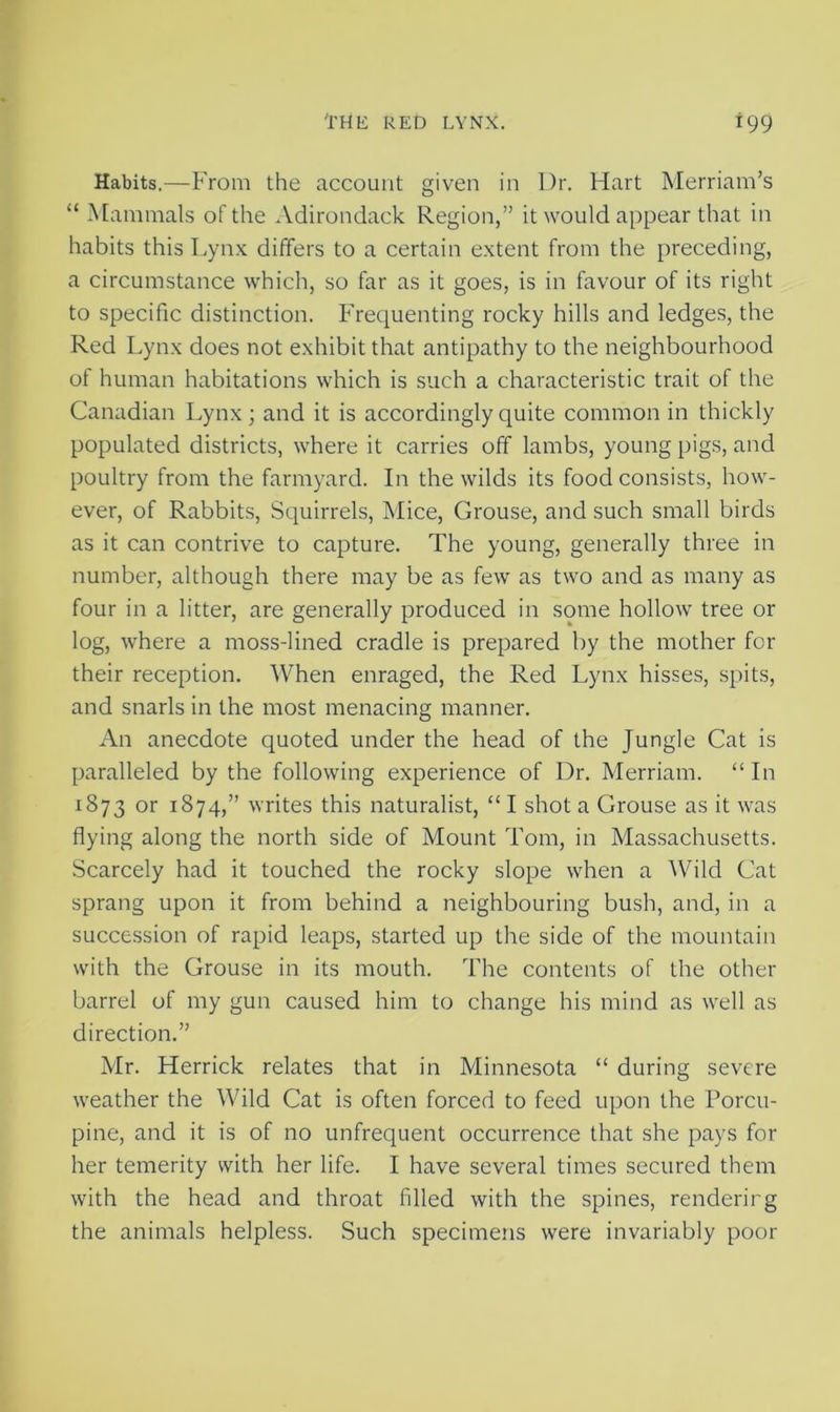 Habits.—From the account given in Dr. Hart Merriam’s “ Mammals of the Adirondack Region,” it would appear that in habits this Lynx differs to a certain extent from the preceding, a circumstance which, so far as it goes, is in favour of its right to specific distinction. Frequenting rocky hills and ledges, the Red Lynx does not exhibit that antipathy to the neighbourhood of human habitations which is such a characteristic trait of the Canadian Lynx; and it is accordingly quite common in thickly populated districts, where it carries off lambs, young pigs, and poultry from the farmyard. In the wilds its food consists, how- ever, of Rabbits, Squirrels, Mice, Grouse, and such small birds as it can contrive to capture. The young, generally three in number, although there may be as few as two and as many as four in a litter, are generally produced in some hollow tree or log, where a moss-lined cradle is prepared by the mother for their reception. When enraged, the Red Lynx hisses, spits, and snarls in the most menacing manner. An anecdote quoted under the head of the Jungle Cat is paralleled by the following experience of Dr. Merriam. “ In 1873 or 1S74,” rites this naturalist, “ I shot a Grouse as it was flying along the north side of Mount Tom, in Massachusetts. Scarcely had it touched the rocky slope when a Wild Cat sprang upon it from behind a neighbouring bush, and, in a succession of rapid leaps, started up the side of the mountain with the Grouse in its mouth. The contents of the other barrel of my gun caused him to change his mind as well as direction.” Mr. Herrick relates that in Minnesota “ during severe weather the Wild Cat is often forced to feed upon the Porcu- pine, and it is of no unfrequent occurrence that she pays for her temerity with her life. I have several times secured them with the head and throat filled with the spines, renderirg the animals helpless. Such specimens were invariably poor