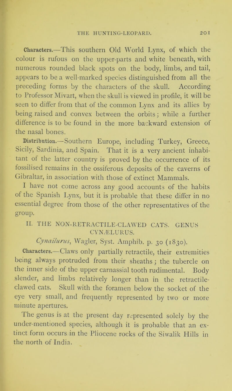 Characters.—This southern Old World Lynx, of which the colour is rufous on the upper-parts and white beneath, with numerous rounded black spots on the body, limbs, and tail, appears to be a well-marked species distinguished from all the preceding forms by the characters of the skull. According to Professor Mivart, when the skull is viewed in profile, it will be seen to differ from that of the common Lynx and its allies by being raised and convex between the orbits; while a further difference is to be found in the more backward extension of the nasal bones. Distribution.—Southern Europe, including Turkey, Greece, Sicily, Sardinia, and Spain. That it is a very ancient inhabi- tant of the latter country is proved by the occurrence of its fossilised remains in the ossiferous deposits of the caverns of Gibraltar, in association with those of extinct Mammals. I have not come across any good accounts of the habits of the Spanish Lynx, but it is probable that these differ in no essential degree from those of the other representatives of the group. II. THE NON-RETRACTILE-CLAWED CATS. GENUS CYN/ELURUS. Cynailurus, Wagler, Syst. Amphib. p. 30 (1830). Characters.—Claws only partially retractile, their extremities being always protruded from their sheaths ; the tubercle on the inner side of the upper carnassial tooth rudimental. Body slender, and limbs relatively longer than in the retractile- clawed cats. Skull with the foramen below the socket of the eye very small, and frequently represented by two or more minute apertures. The genus is at the present day represented solely by the under-mentioned species, although it is probable that an ex- tinct form occurs in the Pliocene rocks of the Siwalik Hills in the north of India.