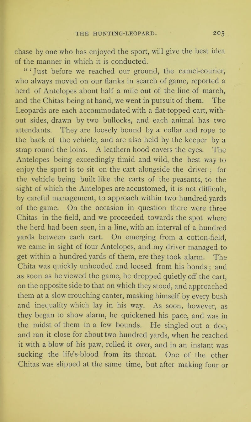 chase by one who has enjoyed the sport, will give the best idea of the manner in which it is conducted. “‘Just before we reached our ground, the camel-courier, who always moved on our flanks in search of game, reported a herd of Antelopes about half a mile out of the line of march, and the Chitas being at hand, we went in pursuit of them. The Leopards are each accommodated with a flat-topped cart, with- out sides, drawn by two bullocks, and each animal has two attendants. They are loosely bound by a collar and rope to the back of the vehicle, and are also held by the keeper by a strap round the loins. A leathern hood covers the eyes. The Antelopes being exceedingly timid and wild, the best way to enjoy the sport is to sit on the cart alongside the driver; for the vehicle being built like the carts of the peasants, to the sight of which the Antelopes are accustomed, it is not difficult, by careful management, to approach within two hundred yards of the game. On the occasion in question there were three Chitas in the field, and we proceeded towards the spot where the herd had been seen, in a line, with an interval of a hundred yards between each cart. On emerging from a cotton-field, we came in sight of four Antelopes, and my driver managed to get within a hundred yards of them, ere they took alarm. The Chita was quickly unhooded and loosed from his bonds; and as soon as he viewed the game, he dropped quietly off the cart, on the opposite side to that on which they stood, and approached them at a slow crouching canter, masking himself by every bush and inequality which lay in his way. As soon, however, as they began to show alarm, he quickened his pace, and was in the midst of them in a few bounds. He singled out a doe, and ran it close for about two hundred yards, when he reached it with a blow of his paw, rolled it over, and in an instant was sucking the life’s-blood from its throat. One of the other Chitas was slipped at the same time, but after making four or