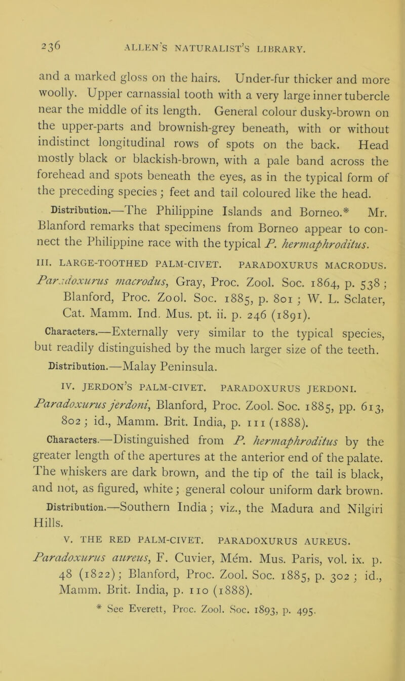 and a marked gloss on the hairs. Under-fur thicker and more woolly. Upper carnassial tooth with a very large inner tubercle near the middle ol its length. General colour dusky-brown on the upper-parts and brownish-grey beneath, with or without indistinct longitudinal rows of spots on the back. Head mostly black or blackish-brown, with a pale band across the forehead and spots beneath the eyes, as in the typical form of the preceding species; feet and tail coloured like the head. Distribution.—The Philippine Islands and Borneo.* Mr. Blanford remarks that specimens from Borneo appear to con- nect the Philippine race with the typical P. hermaphrodilus. III. LARGE-TOOTHED PALM-CIVET. PARADOXURUS MACRODUS. Paradoxurus macrodus, Gray, Proc. Zool. Soc. 1864, p. 538 ; Blanford, Proc. Zool. Soc. 1885, p. 801 ; W. L. Sc.later, Cat. Mamm. Ind. Mus. pt. ii. p. 246 (1891). Characters.—Externally very similar to the typical species, but readily distinguished by the much larger size of the teeth. Distribution.—Malay Peninsula. IV. JERDON’S PALM-CIVET. PARADOXURUS JERDONI. Paradoxurus jerdoni, Blanford, Proc. Zool. Soc. 1885, pp. 613, 802 ; id., Mamm. Brit. India, p. in (1888). Characters.—Distinguished from P. hermaphroditus by the greater length of the apertures at the anterior end of the palate. The whiskers are dark brown, and the tip of the tail is black, and not, as figured, white; general colour uniform dark brown. Distribution.—Southern India; viz., the Madura and Nilgiri Hills. V. THE RED PALM-CIVET. PARADOXURUS AUREUS. Paradoxurus aureus, F. Cuvier, Mem. Mus. Paris, vol. ix. p. 48 (1822); Blanford, Proc. Zool. Soc. 1885, p. 302 ; id., Mamm. Brit. India, p. no (1888). * See Everett, Proc. Zool. Soc. 1893, P- 495'