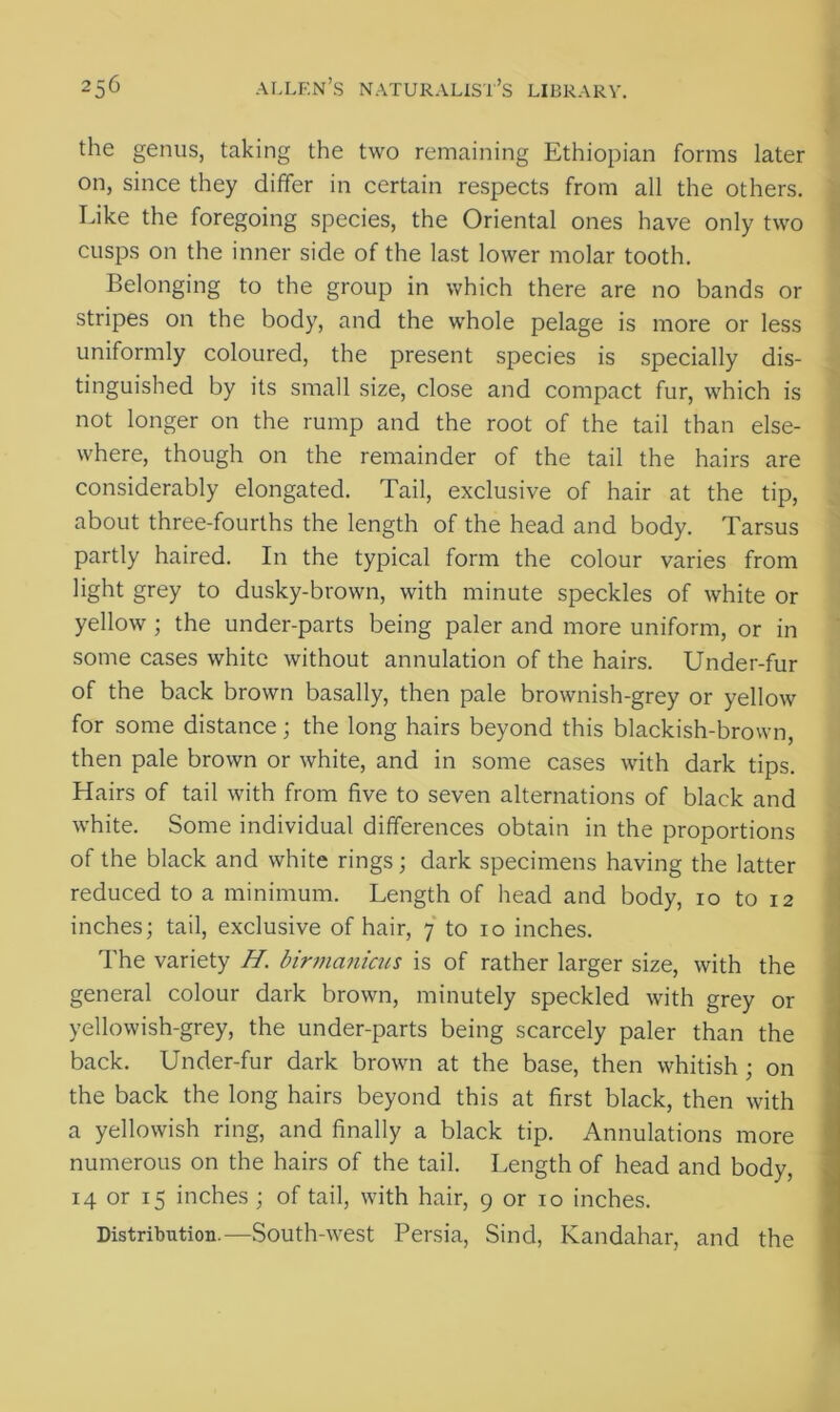 the genus, taking the two remaining Ethiopian forms later on, since they differ in certain respects from all the others. Like the foregoing species, the Oriental ones have only two cusps on the inner side of the last lower molar tooth. Belonging to the group in which there are no bands or stripes on the body, and the whole pelage is more or less uniformly coloured, the present species is specially dis- tinguished by its small size, close and compact fur, which is not longer on the rump and the root of the tail than else- where, though on the remainder of the tail the hairs are considerably elongated. Tail, exclusive of hair at the tip, about three-fourths the length of the head and body. Tarsus partly haired. In the typical form the colour varies from light grey to dusky-brown, with minute speckles of white or yellow ; the under-parts being paler and more uniform, or in some cases white without annulation of the hairs. Under-fur of the back brown basally, then pale brownish-grey or yellow for some distance; the long hairs beyond this blackish-brown, then pale brown or white, and in some cases with dark tips. Hairs of tail with from five to seven alternations of black and white. Some individual differences obtain in the proportions of the black and white rings; dark specimens having the latter reduced to a minimum. Length of head and body, 10 to 12 inches; tail, exclusive of hair, 7 to 10 inches. The variety H. birmanicus is of rather larger size, with the general colour dark brown, minutely speckled with grey or yellowish-grey, the under-parts being scarcely paler than the back. Under-fur dark brown at the base, then whitish ; on the back the long hairs beyond this at first black, then with a yellowish ring, and finally a black tip. Annulations more numerous on the hairs of the tail. Length of head and body, 14 or 15 inches ; of tail, with hair, 9 or 10 inches. Distribution.—South-west Persia, Sind, Kandahar, and the