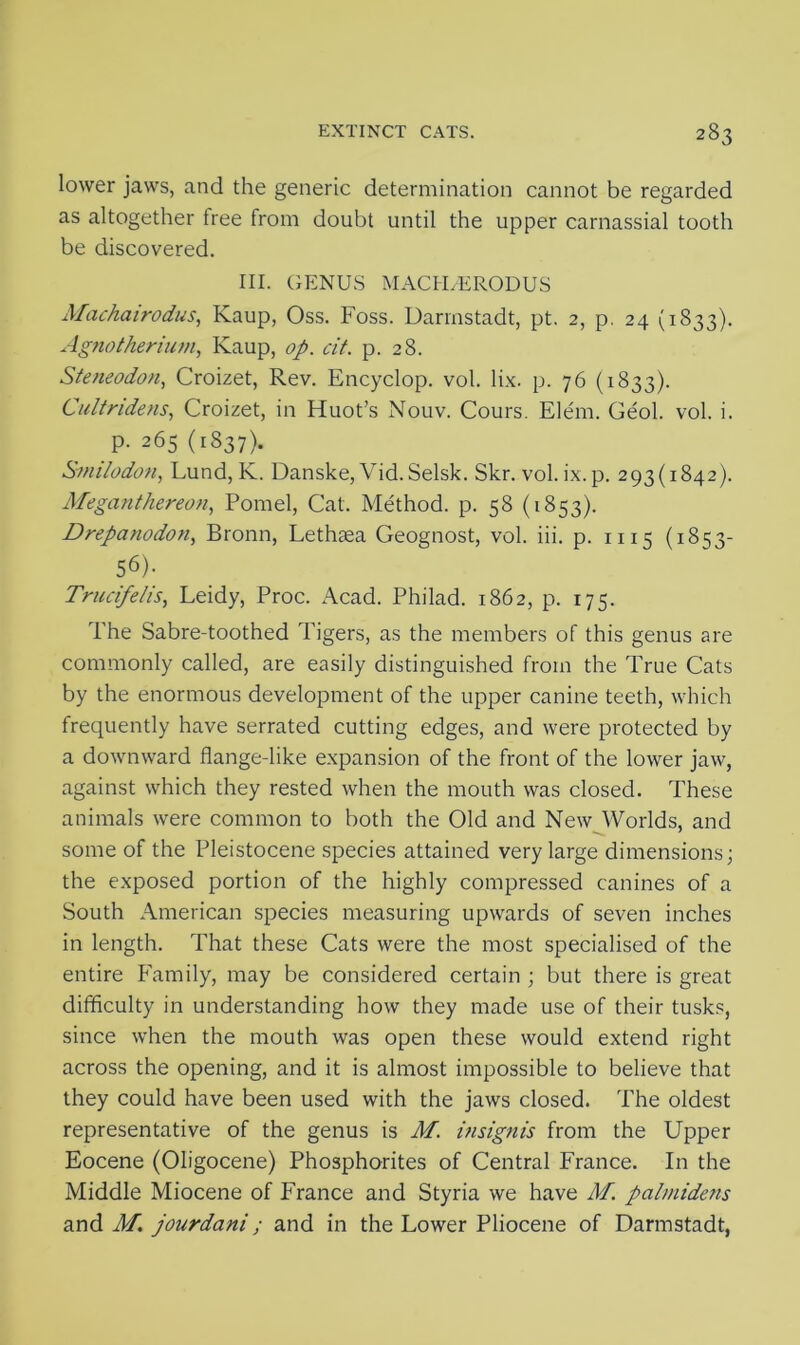lower jaws, and the generic determination cannot be regarded as altogether free from doubt until the upper carnassial tooth be discovered. III. GENUS MACH/ERODUS Machairodus, Kaup, Oss. Foss. Darmstadt, pt. 2, p. 24 (1833). Agnotherium, Kaup, op. cit. p. 28. Steneodon, Croizet, Rev. Encyclop. vol. lix. p. 76 (1833). Cultridens, Croizet, in Huot’s Nouv. Cours. Elem. Geol. vol. i. p. 265 (1837). Smilodon, Lund, K. Danske, Vid. Selsk. Skr. vol. ix. p. 293(1842). Meganthereon, Pomel, Cat. Method, p. 58 (1853). Drepanodon, Bronn, Lethaea Geognost, vol. iii. p. 1115 (1853- 56). Trucifelis, Leidy, Proc. Acad. Philad. 1862, p. 175. The Sabre-toothed Tigers, as the members of this genus are commonly called, are easily distinguished from the True Cats by the enormous development of the upper canine teeth, which frequently have serrated cutting edges, and were protected by a downward flange-like expansion of the front of the lower jaw, against which they rested when the mouth was closed. These animals were common to both the Old and New Worlds, and some of the Pleistocene species attained very large dimensions; the exposed portion of the highly compressed canines of a South American species measuring upwards of seven inches in length. That these Cats were the most specialised of the entire Family, may be considered certain ; but there is great difficulty in understanding how they made use of their tusks, since when the mouth was open these would extend right across the opening, and it is almost impossible to believe that they could have been used with the jaws closed. The oldest representative of the genus is M. insignis from the Upper Eocene (Oligocene) Phosphorites of Central France. In the Middle Miocene of France and Styria we have M. palmidens and M. jourdani; and in the Lower Pliocene of Darmstadt,