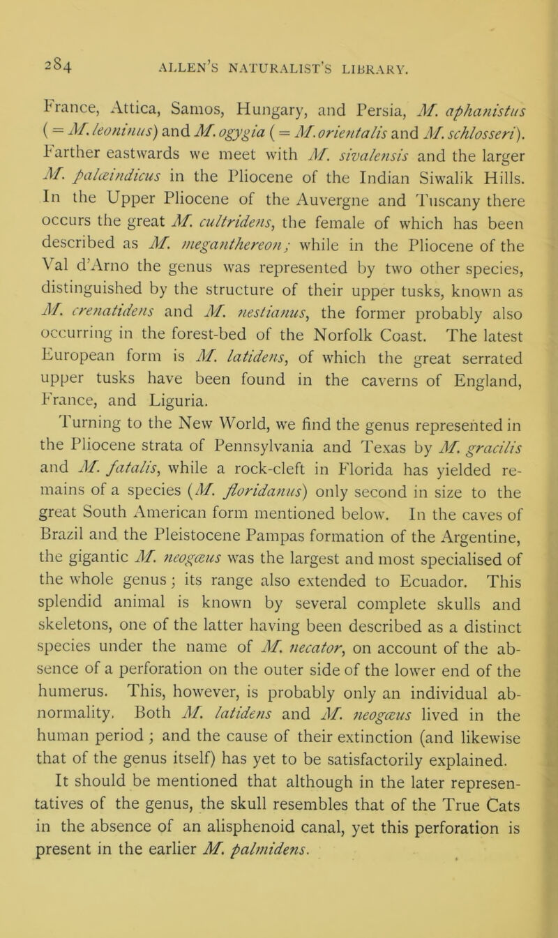 Trance, Attica, Samos, Hungary, and Persia, M. ciphanistus ( = -hi* leoninus) and M, ogygta (= M.orientalis and M. schlosseri). Tarther eastwards we meet with M. sivalensis and the larger M. palceindicus in the Pliocene of the Indian Siwalik Hills. In the Upper Pliocene of the Auvergne and Tuscany there occurs the great M. cultridens, the female of which has been described as Jlf. meganthereon; while in the Pliocene of the \ al d’Arno the genus was represented by two other species, distinguished by the structure of their upper tusks, known as A/, crenatidens and M. nestianus, the former probably also occurring in the forest-bed of the Norfolk Coast. The latest European form is M. la tide ns, of which the great serrated upper tusks have been found in the caverns of England, France, and Liguria. 1 urning to the New World, we find the genus represented in the Pliocene strata of Pennsylvania and Texas by M. gracilis and M. fatalis, while a rock-cleft in Florida has yielded re- mains of a species (/!/. fiondanus) only second in size to the great South American form mentioned below. In the caves of Brazil and the Pleistocene Pampas formation of the Argentine, the gigantic M. ncogceus was the largest and most specialised of the whole genus; its range also extended to Ecuador. This splendid animal is known by several complete skulls and skeletons, one of the latter having been described as a distinct species under the name of M necator, on account of the ab- sence of a perforation on the outer side of the lower end of the humerus. This, however, is probably only an individual ab- normality. Both M. latidens and M. neogccus lived in the human period ; and the cause of their extinction (and likewise that of the genus itself) has yet to be satisfactorily explained. It should be mentioned that although in the later represen- tatives of the genus, the skull resembles that of the True Cats in the absence of an alisphenoid canal, yet this perforation is present in the earlier M. palmidens.