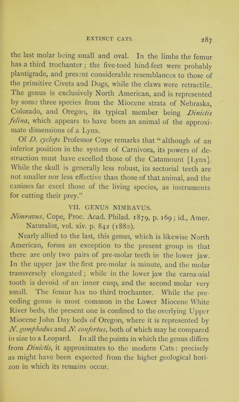 the last molar being small and oval. In the limbs the femur has a third trochanter; the five-toed hind-feet were probably plantigrade, and present considerable resemblances to those of the primitive Civets and Dogs, while the claws were retractile. The genus is exclusively North American, and is represented by some three species from the Miocene strata of Nebraska, Colorado, and Oregon, its typical member being Dinictis felina, which appears to have been an animal of the approxi- mate dimensions of a Lynx. Of D. cyclops Professor Cope remarks that “ although of an inferior position in the system of Carnivora, its powers of de- struction must have excelled those of the Catamount [Lynx]. While the skull is generally less robust, its sectorial teeth are not smaller nor less effective than those of that animal, and the canines far excel those of the living species, as instruments for cutting their prey.” VII. GENUS NIMRAVUS. Nimravus, Cope, Proc. Acad. Philad. 1879, P- 169; id-, Amer. Naturalist, vol. xiv. p. 842 (1880). Nearly allied to the last, this genus, which is likewise North American, forms an exception to the present group in that there are only two pairs of pre-molar teeth in the lower jaw. In the upper jaw the first pre-molar is minute, and the molar transversely elongated ; while in the lower jaw the carnaisial tooth is devoid of an inner cusp, and the second molar very small. The femur has no third trochanter. While the pre- ceding genus is most common in the Lower Miocene White River beds, the present one is confined to the overlying Upper Miocene John Day beds of Oregon, where it is represented by N gomphodus and JV. confertus, both of which may be compared in size to a Leopard. In all the points in which the genus differs from Dinictis, it approximates to the modern Cats : precisely as might have been expected from the higher geological hori- zon in which its remains occur.