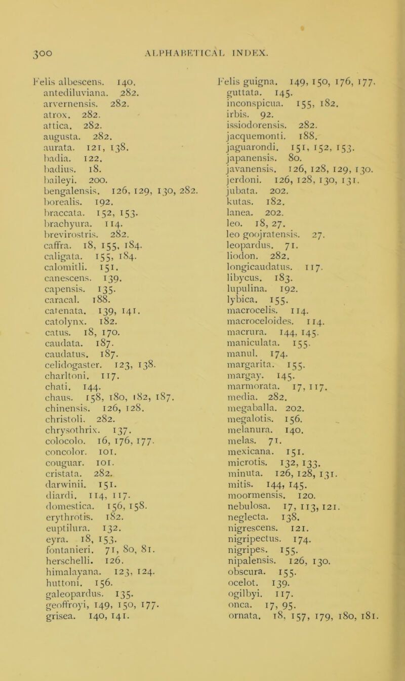 h'elis albescens. 140. antediluviana. 282. arvernensis. 282. atrox. 282. attica. 282. augusta. 282. aurata. 121, 138. badia. 122. badius. 18. baileyi. 200. bengalensis. 126, 129, 130, 2S2. borealis. 192. hraccata. 152, 153. brachyura. 114. brevirostris. 282. caffra. 18, 155. 1S4. caligata. 155, 1S4. calomitli. 151. canescens. 139. capensis. 135. caracal. 188. catenata. 139, 141. catolynx. 182. cat ns. 18, 170. caudata. 187. caudatus. 187. celidogaster. 123, 138. charltoni. 117. chati. 144. chans. 158, 180, 182, 1S7. chinensis. 126, 128. christoli. 282. chrysothrix. 137. colocolo. 16, 176, 177. concolor. 101. couguar. 101. cristata. 282. darwinii. 15L diardi. 114, 117- domestica. 156, 158. erythrotis. 182. euptilura. 132. eyra. 18, 153. fontanieri. 71, So, 81. herschelli. 126. himalayana. 123, 124. huttoni. 156. galeopardns. 135. geoffroyi, 149, 150, 177. grisea. 140, 141. h'elis guigna. 149, 150, 176, 177. guttata. 145. inconspicua. 155, 182. irbis. 92. issiodorensis. 282. jacquemonti. 188. jaguarondi. 151, 152, 153. japanensis. 80. javanensis. 126, 128, 129, 130. jerdoni. 126, 128, 130, 131. jubata. 202. kutas. 182. lanea. 202. leo. 18, 27. leo goojratensis. 27. leopardus. 71. liodon. 282. longicaudatus. 117. libycus. 183. lupulina. 192. lybica. 155. macrocelis. 114. macroceloides. 114. macrura. 144, 145. maniculata. 155. raanul. 174. margarita. 155. margay. 145. marmorata. 17,117. media. 282. megaballa. 202. megalotis. 156. melanura. 140. melas. 71. mexicana. 151. microtis. 132, 133. minuta. 126, 128, 131. mitis. 144, 145. moormensis. 120. nebulosa. 17,113,121. neglecta. 138. nigrescens. 121. nigripectus. 174. nigripes. 155. nipalensis. 126, 130. obscura. 155. ocelot. 139. ogilbyi. 117. onca. 17, 95. ornata. 18, 157, 179, 180, 1S1.