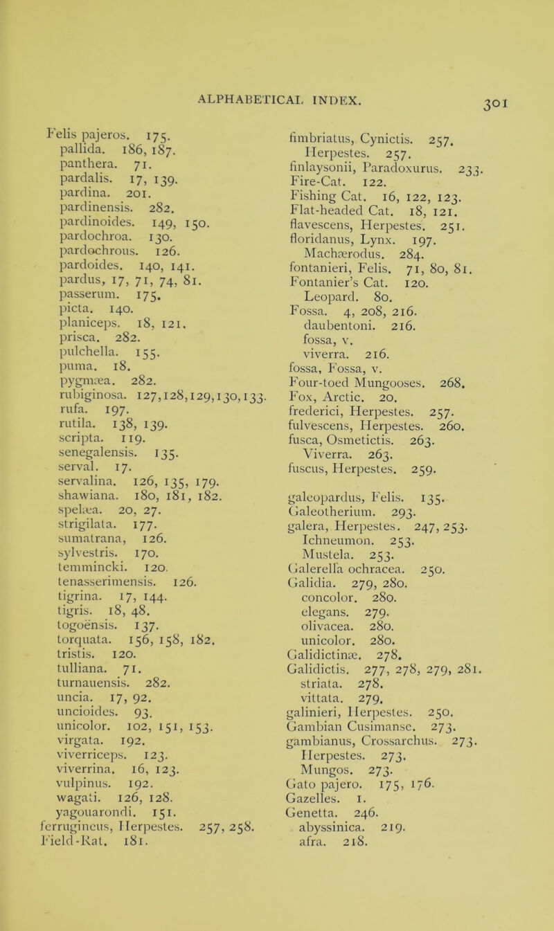 Felis pajeros. 175. pallida. 186, 187. panthera. 71. pardalis. 17, 139. pardina. 201. pardinensis. 282. pardinoides. 149, 150. pardochroa. 130. pardochrous. 126. pardoides. 140, 141. pardus, 17, 71, 74, 81. passerum. 175. picta. 140. planiceps. 18, 121. prisca. 282. pulchella. 155. puma. 18. pygmsea. 282. rubiginosa. 127,128,129,130,133. rufa. 197. rutila. 138, 139. scripta. 119. senegalensis. 135. serval. 17. servalina. 126, 135, 179. shawiana. 180, 181, 182. spelma. 20, 27. strigilala. 177. sumatrana, 126. sylvestris. 170. temmincki. 120. tenasserimensis. 126. tigrina. 17, 144. tigris. 18, 48. logoensis. 137. torquata. 156, 158, 182. tristis. 120. tulliana. 71. turnauensis. 282. uncia. 17, 92. uncioides. 93. unicolor. 102, 151, 153. virgata. 192. viverriceps. 123. viverrina. 16, 123. vulpinus. 192. wagati. 126, 128. yagouarondi. 151. ferrugineus, Ilerpestes. 257, 258. Field-Rat. 181. fimbriatus, Cynictis. 257. Ilerpestes. 257. finlaysonii, Paradoxurus. 233. Fire-Cat. 122. Fishing Cat. 16, 122, 123. Flat-headed Cat. 18, 121. flavescens, Flerpestes. 251. floridanus, Lynx. 197. Machaerodus. 284. fontanieri, Felis. 71, 80, 81. Fontanier’s Cat. 120. Leopard. 80. Fossa. 4, 208, 216. daubentoni. 216. fossa, v. viverra. 216. fossa, Fossa, v. Four-toed Mungooses. 268. Fox, Arctic. 20. frederici, Flerpestes. 257. fulvescens, Ilerpestes. 260. fusca, Osmetictis. 263. Viverra. 263. fuscus, Flerpestes. 259. galeopardus, Felis. 135. Galeotherium. 293. galera, Flerpestes. 247, 253. Ichneumon. 253. Mustela. 253. Galerella ochracea. 250. Galidia. 279, 280. concolor. 280. elegans. 279. olivacea. 280. unicolor. 280. Galidictinm. 278- Galidictis. 277, 278, 279, 281. striata. 278. vittata. 279. galinieri, Ilerpestes. 250. Gambian Cusimanse. 273. gambianus, Crossarchus. 273. Ilerpestes. 273. Mungos. 273. Gato pajero. 175, 176. Gazelles. I. Genetta. 246. abyssinica. 219. afra. 218.