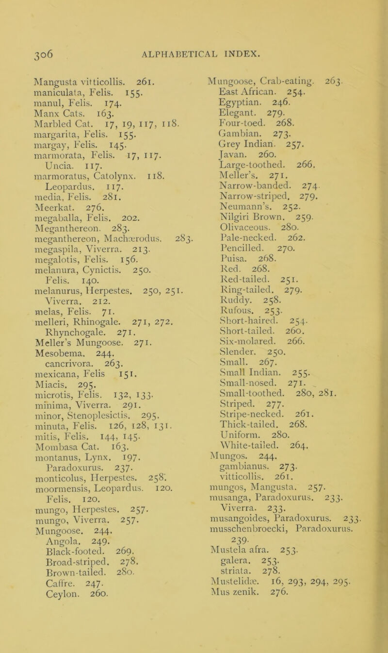 Mangusta vitticollis. 261. maniculata, Felis. 155. manul, Felis. 174. Manx Cats. 163. Marbled Cat. 17, 19, 117, 118. margarita, Felis. 155. raargay, Felis. 145. marmorata, Felis. 17, 117. Uncia. 117. marraoratus, Catolynx. 118. Leopardus. 117. media, Felis. 281. Meerkat. 276. megaballa, Felis. 202. Meganthereon. 283. meganthereon, Machcerodus. 283. megaspila, Viverra. 213. megalotis, Felis. 156. mclanura, Cynictis. 250. Felis. 140. melanurus, Herpestes. 250, 251. Viverra. 212. melas, Felis. 71- melleri, Rhinogale. 271, 272. Rhynchogale. 271. Meller’s Mungoose. 271. Mesobema. 244. cancrivora. 263. mexicana, Felis 151. Miacis. 295. microtis, Felis. 132, 133. minima, Viverra. 291. minor, Stenoplesictis. 295. minuta, Felis. 126, 128, 131. mitis, Felis. 144, 145- Mombasa Cat. 163. montanus, Lynx. 197. Paradoxurus. 237. monticolus, Herpestes. 258'. moormensis, Leopardus. 120. Felis. 120. mungo, Plerpestes. 257. mungo, Viverra. 257. Mungoose. 244. Angola. 249. Black-footed. 269. Broad-striped. 278. Brown-tailed. 280. Caffre. 247. Ceylon. 260. Mungoose, Crab-eating. 263. East African. 254. Egyptian. 246. Elegant. 279. Four-toed. 268. Gambian. 273. Grey Indian. 257. Javan. 260. Large-toothed. 266. Meller’s. 271. Narrow-banded. 274. Narrow-striped. 279. Neumann’s. 252. Nilgiri Brown. 259. Olivaceous. 280. Pale-necked. 262. Pencilled. 270. Puisa. 268. Red. 268. Red-tailed. 251. Ring-tailed. 279. Ruddy. 258. Rufous. 253. Short-haired. 254. Short-tailed. 260. Six-molared. 266. Slender. 250. Small. 267. Small Indian. 255. Small-nosed. 271. Small-toothed. 280, 281. Striped. 277. Stripe-necked. 261. Thick-tailed. 268. Uniform. 280. White-tailed. 264. Mungos. 244. gambianus. 273. vitticollis. 261. mungos, Mangusta. 257. musanga, Paradoxurus. 233. Viverra. 233. musangoides, Paradoxurus. 233- musschenbroecki, Paradoxurus. 239- Mustela afra. 253. galera. 253. striata. 278. Mustelicke. 16, 293, 294, 295. Mus zenik. 276.