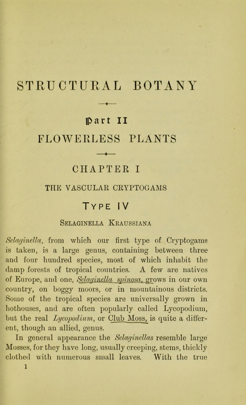 STRUCTURAL BOTANT part II FLOWERLESS PLANTS ♦ CHAPTER I THE VASCULAR CRYPTOGAMS Type IV Selaginella Kraussiana Selaginella, from which our first type of Cryptogams is taken, is a large genus, containing between three and four hundred species, most of which inhabit the damp forests of tropical countries. A few are natives of Europe, and one, SclaaineMa ,spinom. grows in our own country, on boggy moors, or in mountainous districts. Some of the tropical species are universally grown in hothouses, and are often popularly called Lycopodium, but the real Lycopodium, or Club Moss, is quite a differ- ent, though an allied, genus. In general appearance the Selayinellas resemble large Mosses, for they have long, usually creeping, stems, thickly clothed with numerous small leaves. With the true l