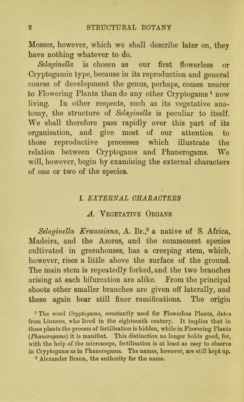 Mosses, however, which we shall describe later on, they have nothing whatever to do. Selaginella is chosen as our first flowerless or Cryptogamic type, because in its reproduction and general course of development the genus, perhaps, comes nearer to Flowering Plants than do any other Cryptogams 1 now living. In other respects, such as its vegetative ana- tomy, the structure of Selaginella is peculiar to itself. We shall therefore pass rapidly over this part of its organisation, and give most of our attention to those reproductive processes which illustrate the relation between Cryptogams and Phanerogams. We will, however, begin by examining the external characters of one or two of the species. I. EXTERNAL CHARACTERS A. Vegetative Organs Selaginella Kraussiana, A. Br.,2 a native of S. Africa, Madeira, and the Azores, and the commonest species cultivated in greenhouses, has a creeping stem, which, however, rises a little above the surface of the ground. The main stem is repeatedly forked, and the two branches arising at each bifurcation are alike. From the principal shoots other smaller branches are given off laterally, and these again bear still finer ramifications. The origin 1 The word Cryptogams, constantly used for Flowerless Plants, dates from Linneus, who lived in the eighteenth century. It implies that in these plants the process of fertilisation is hidden, while in Flowering Plants {Phanerogams) it is manifest. This distinction no longer holds good, for, with the help of the microscope, fertilisation is at least as easy to observe in Cryptogams as in Phanerogams. The names, however, are still kept up. 2 Alexander Braun, the authority for the name.